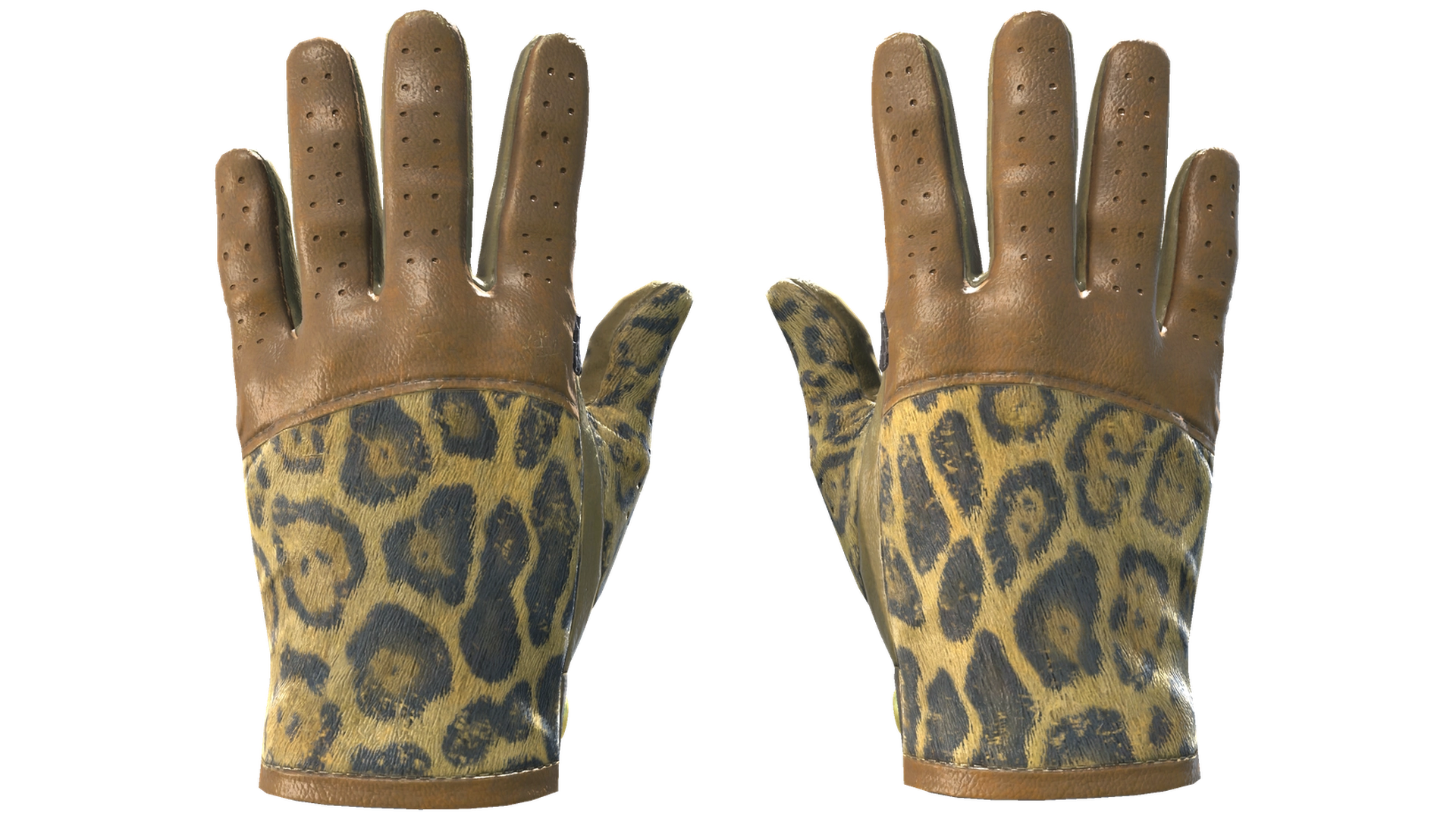 Queen Jaguar image