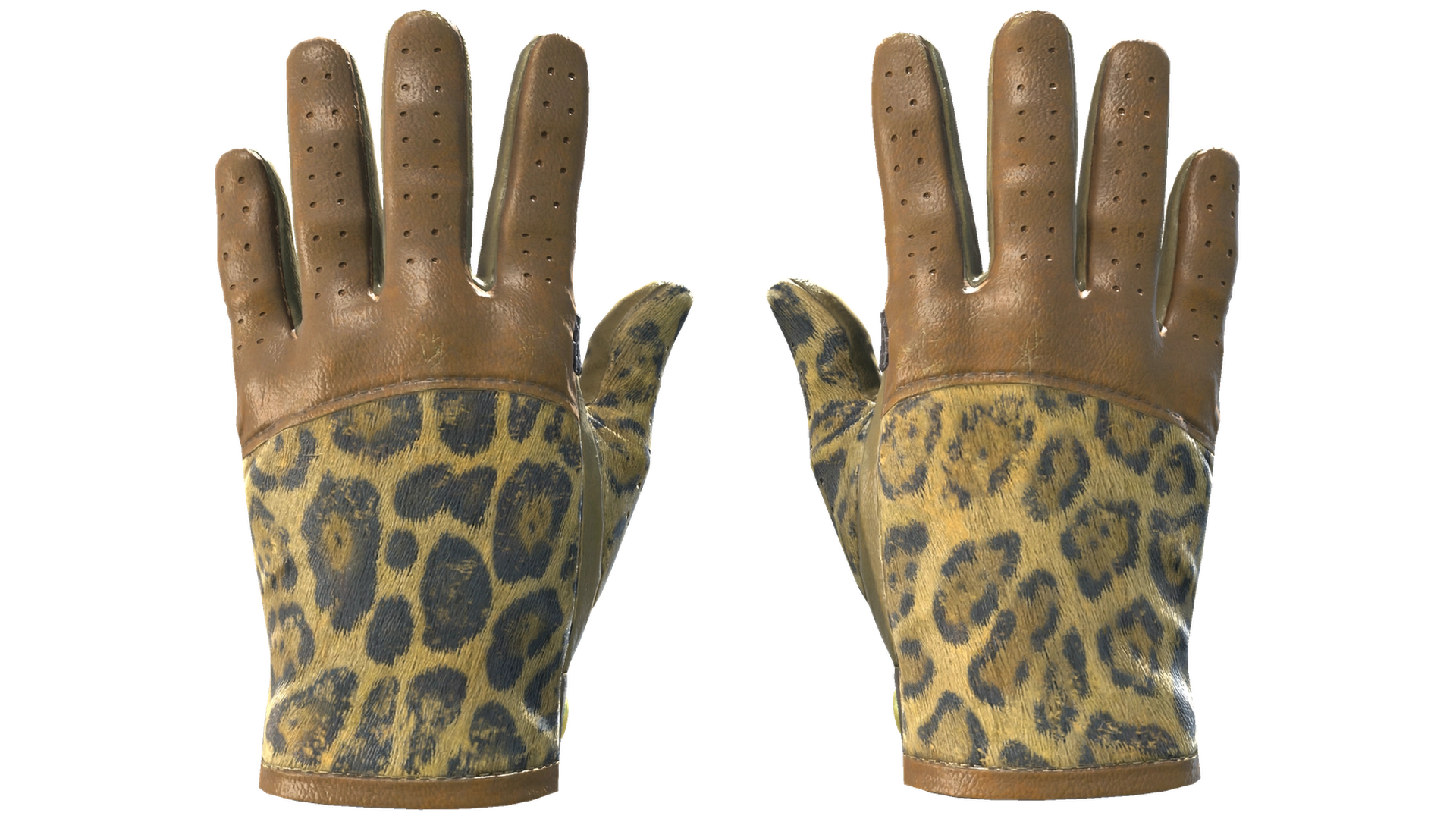 Queen Jaguar image
