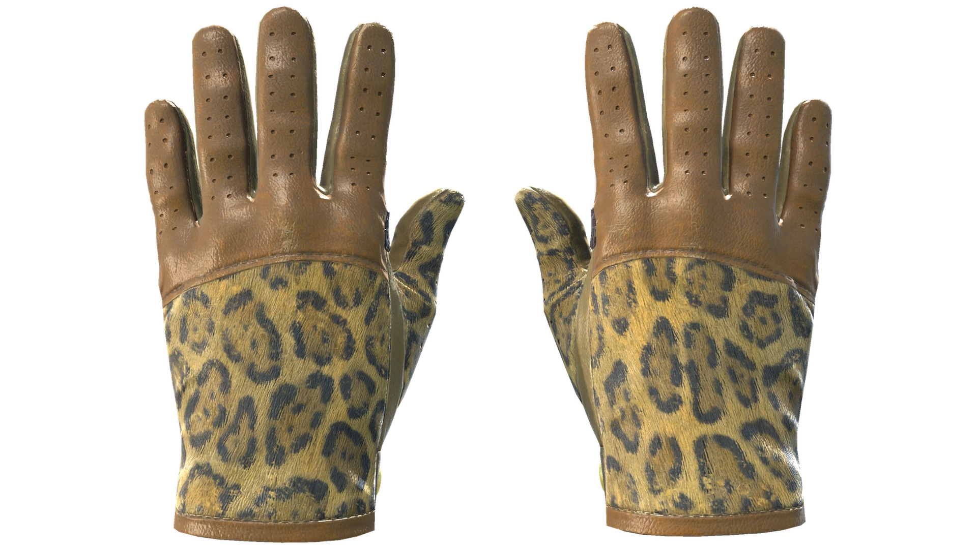 Queen Jaguar image