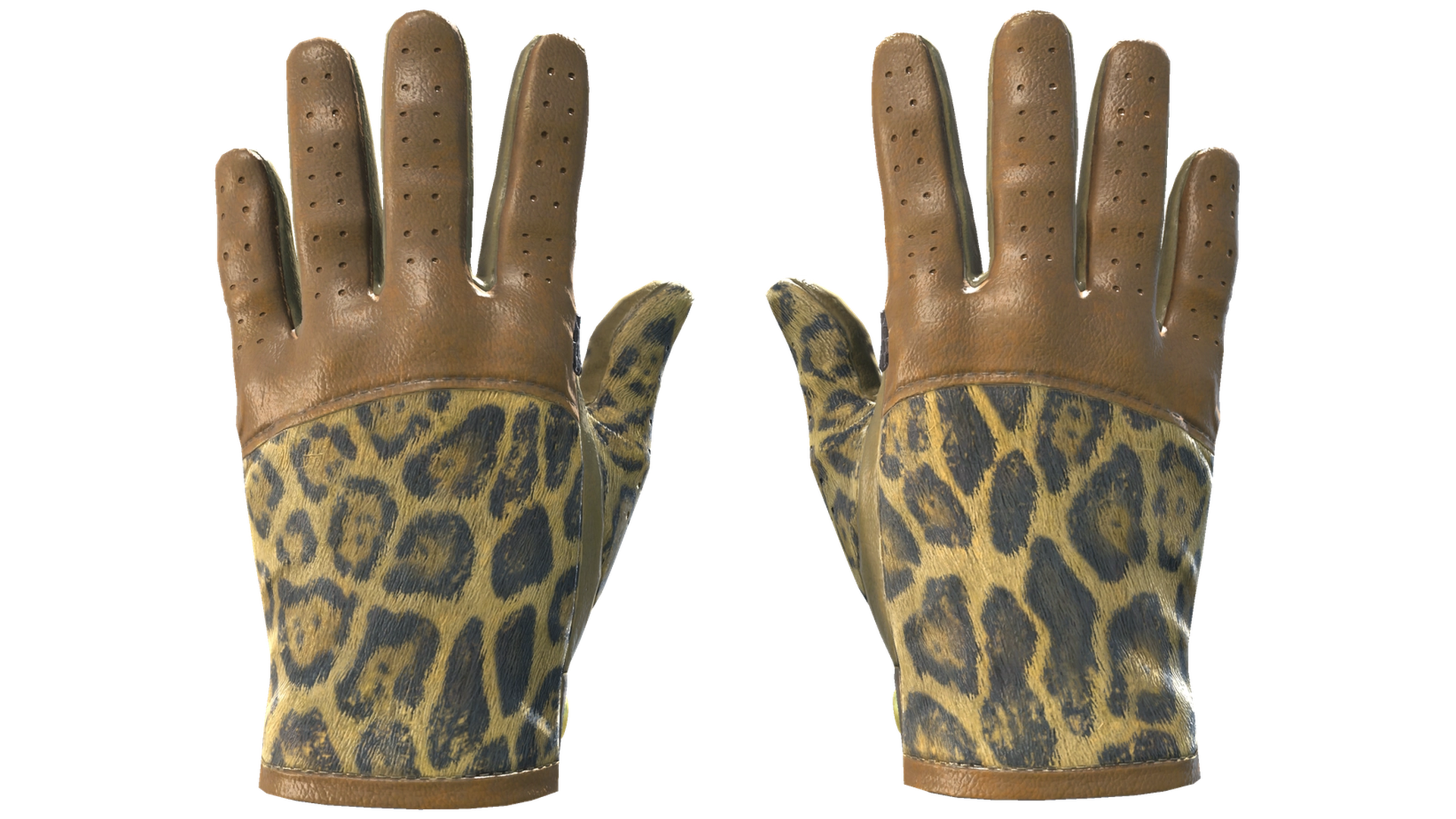 Queen Jaguar image