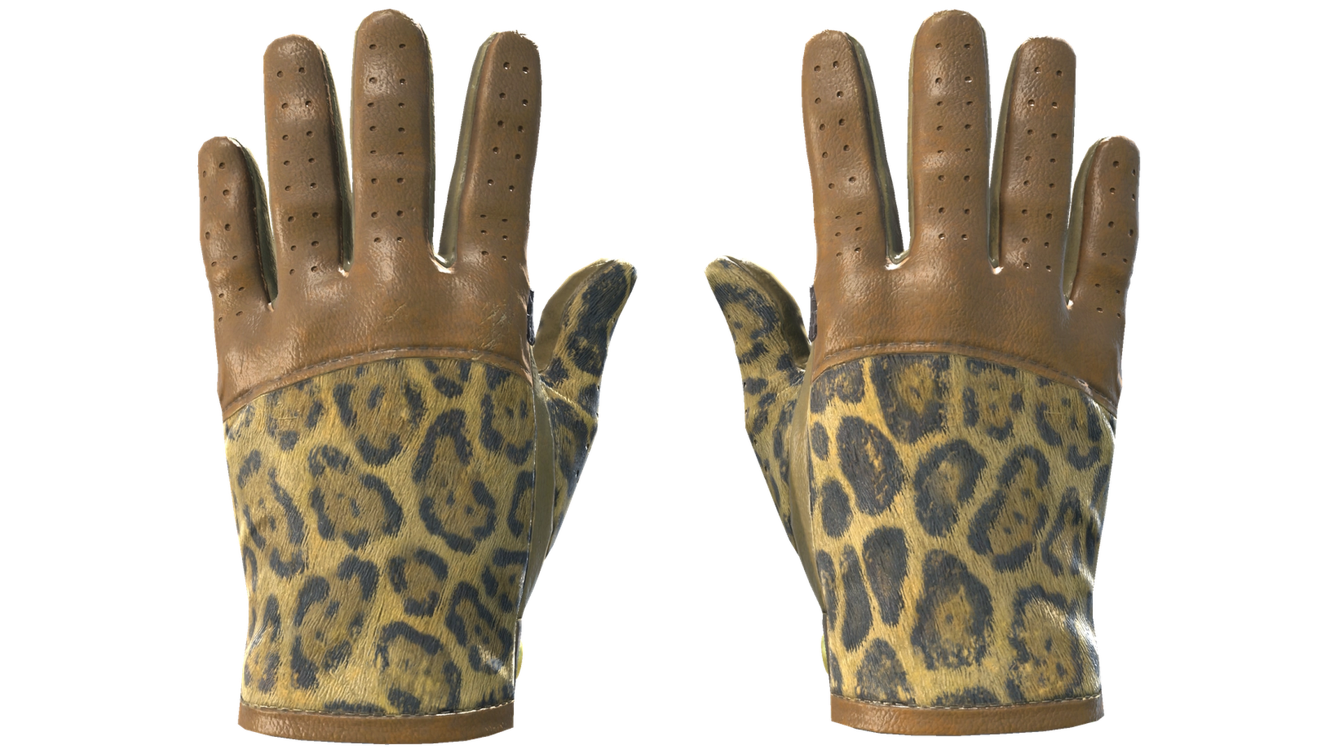 Queen Jaguar image