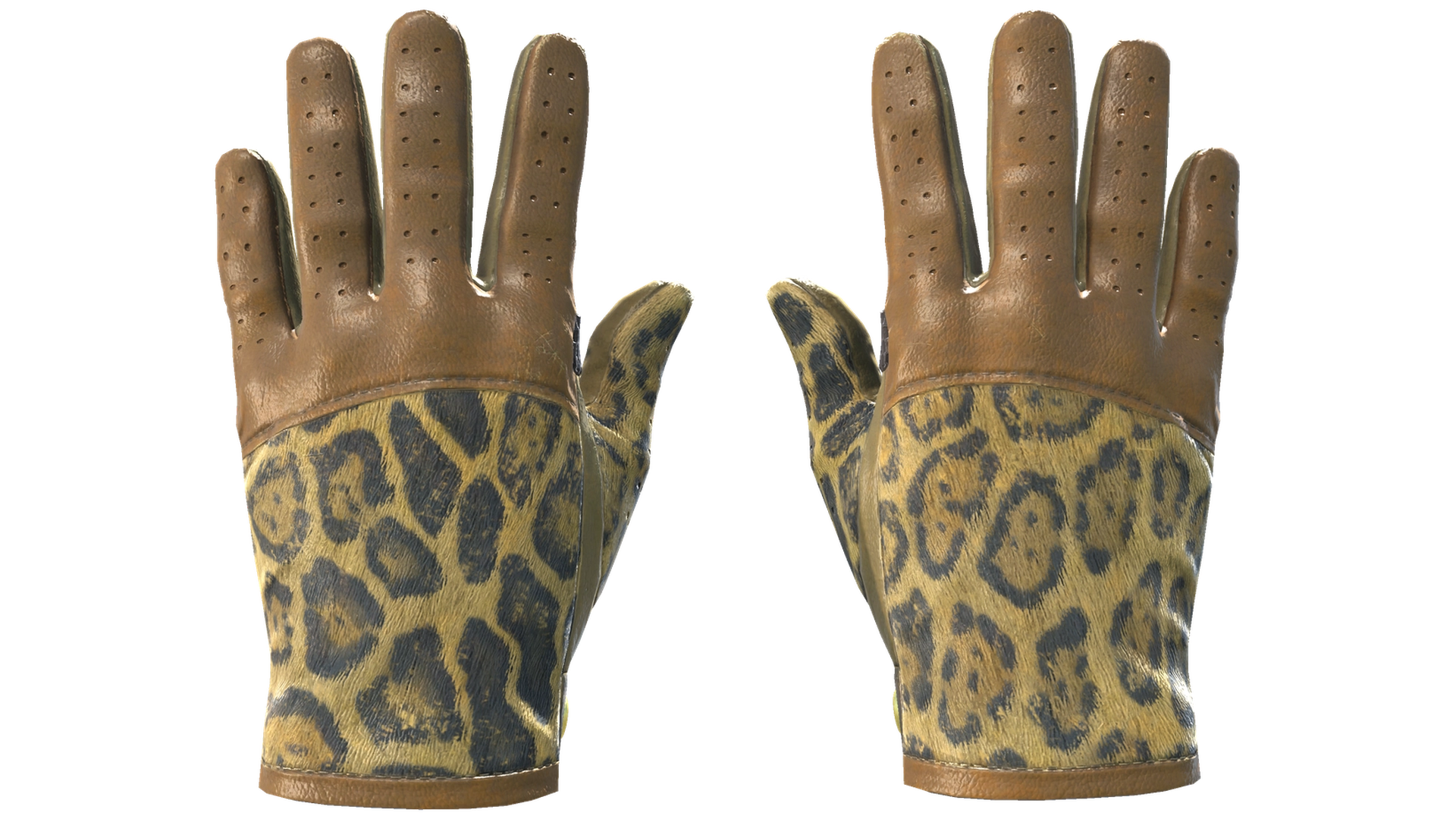 Queen Jaguar image