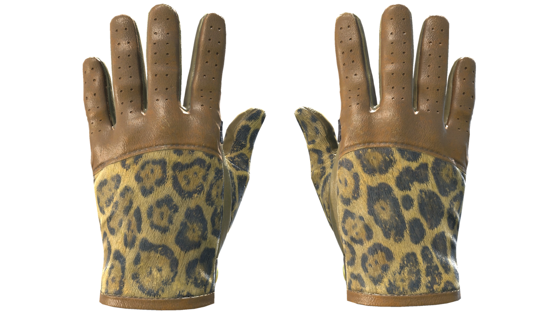 Queen Jaguar image
