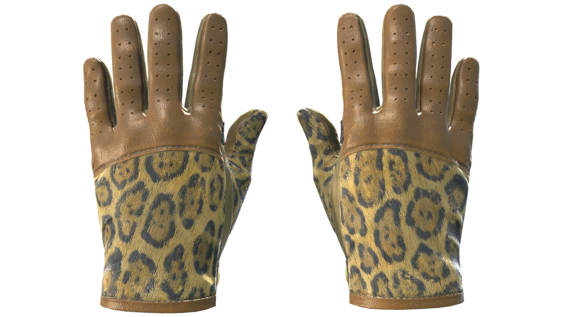 Queen Jaguar image