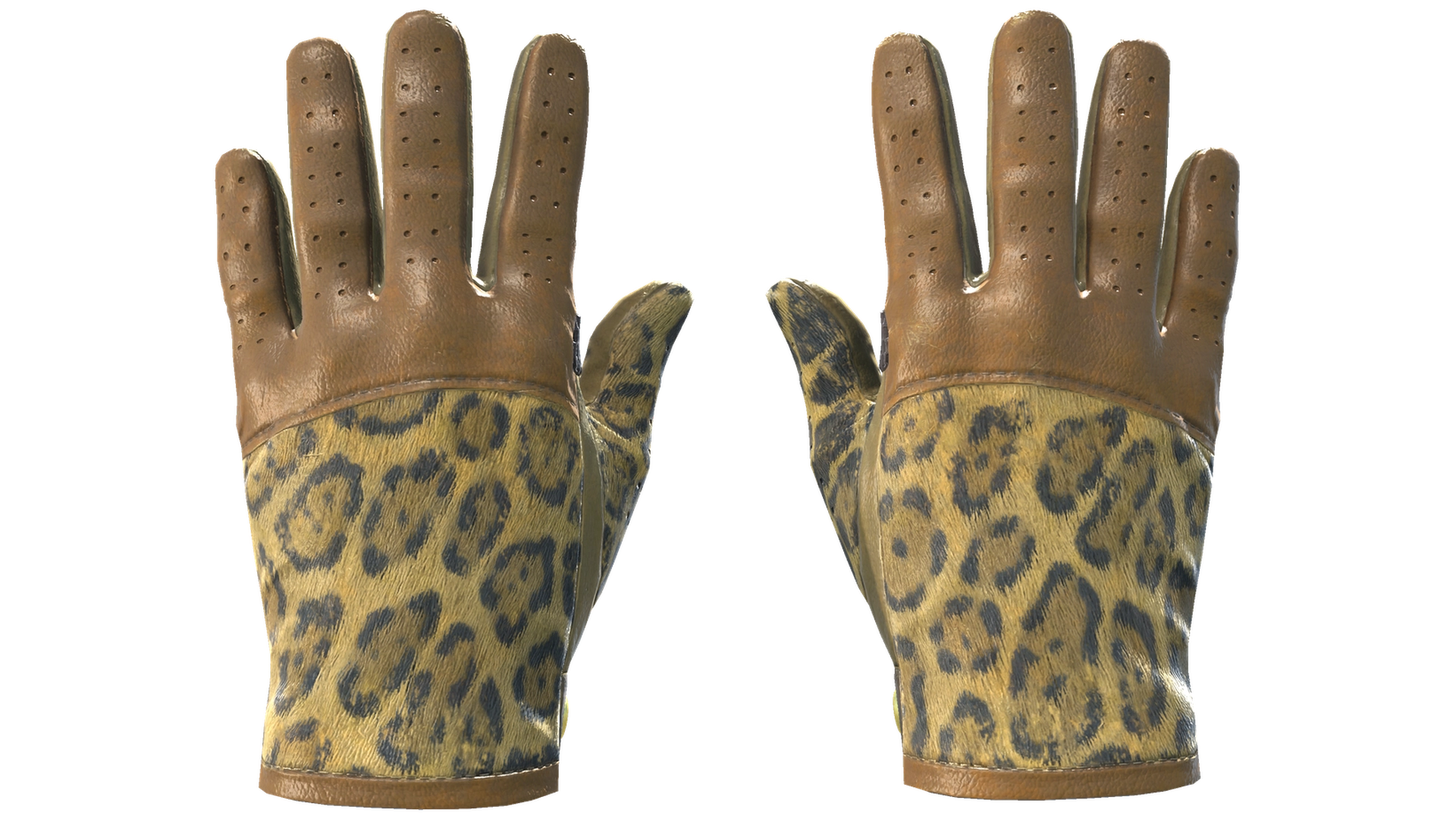 Queen Jaguar image
