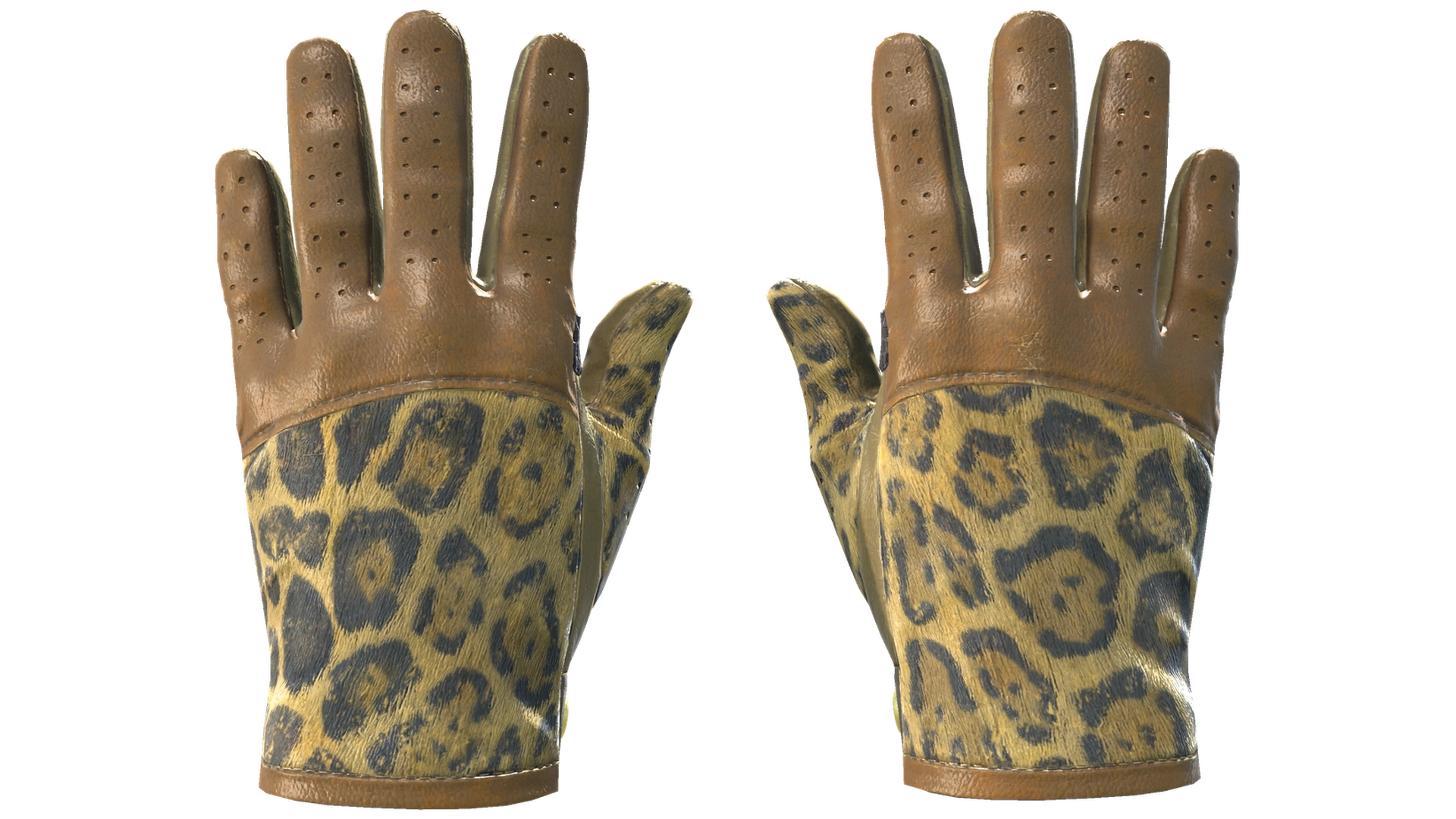 Queen Jaguar image