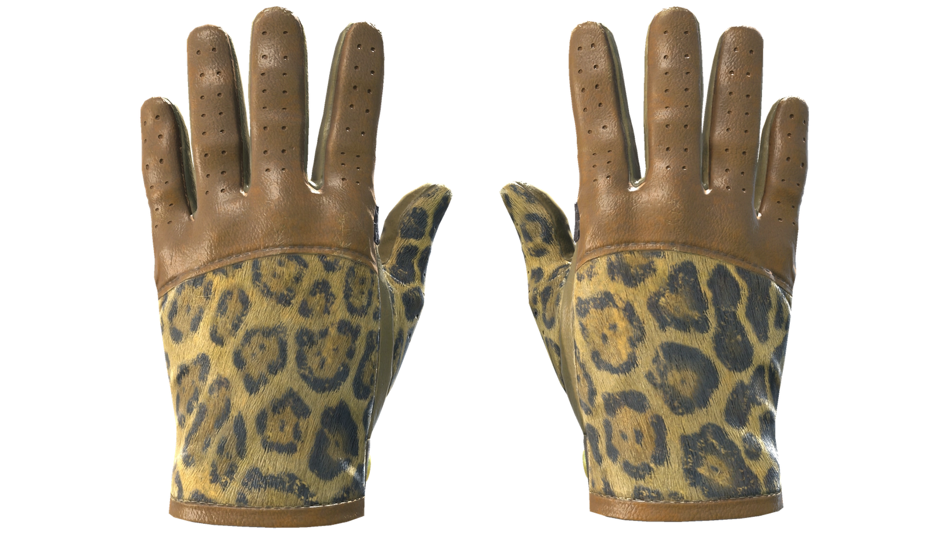 Queen Jaguar image