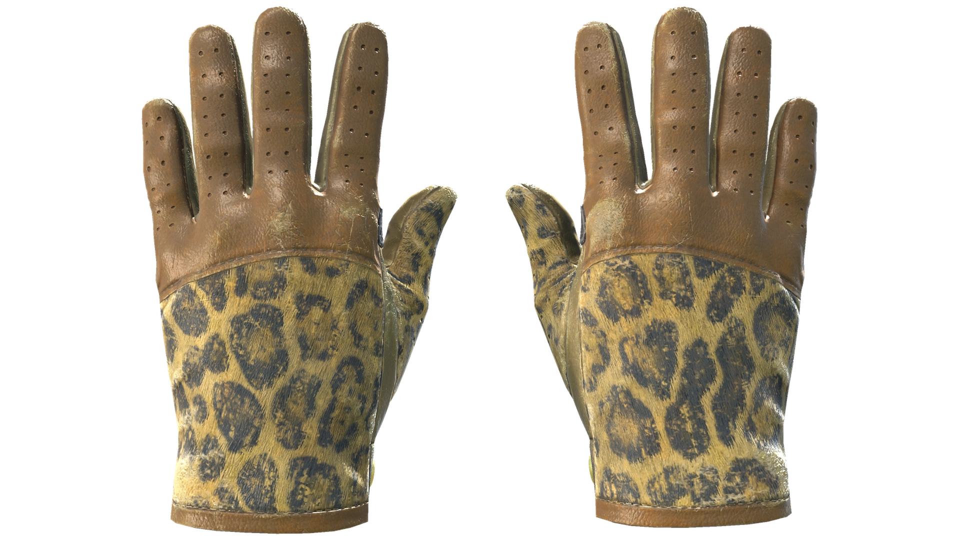 Queen Jaguar image