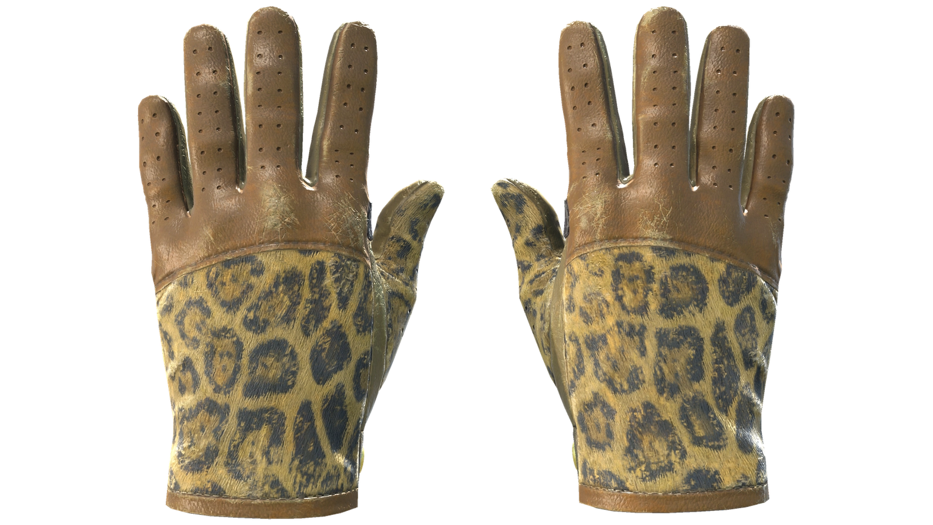 Queen Jaguar image