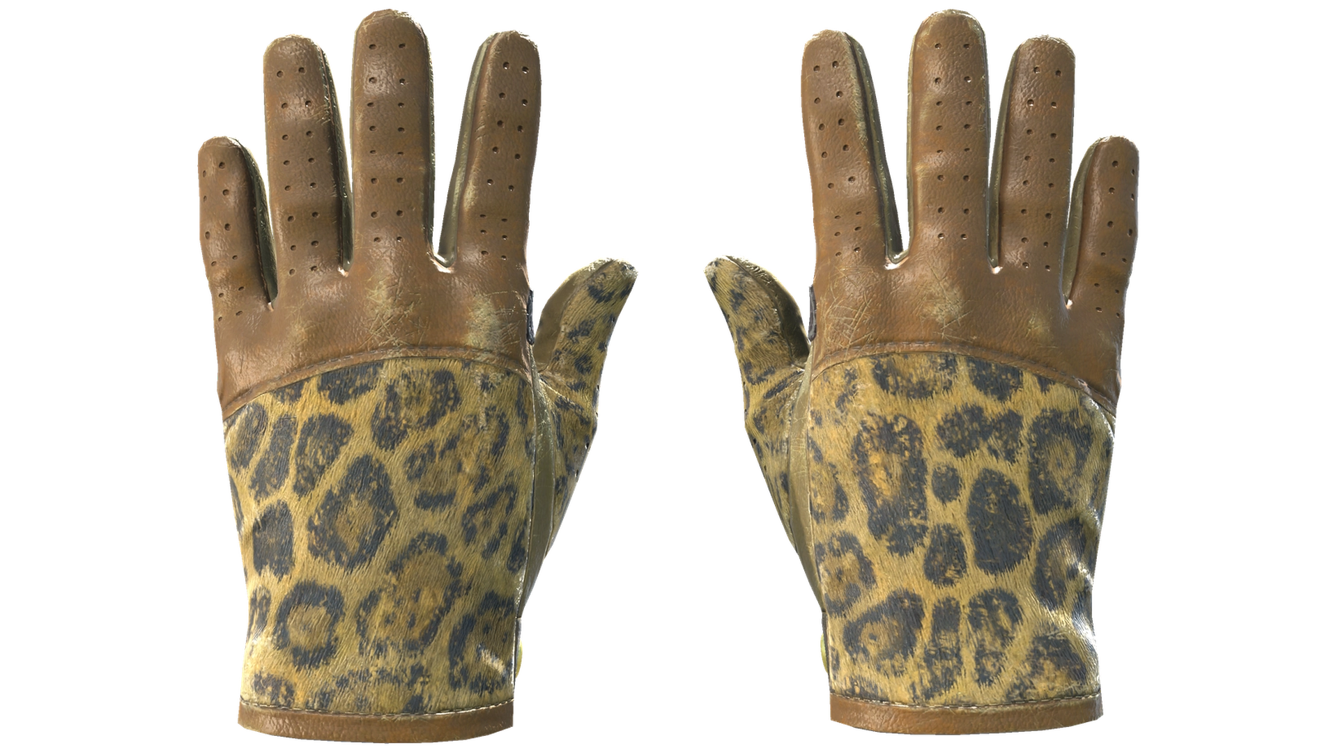 Queen Jaguar image