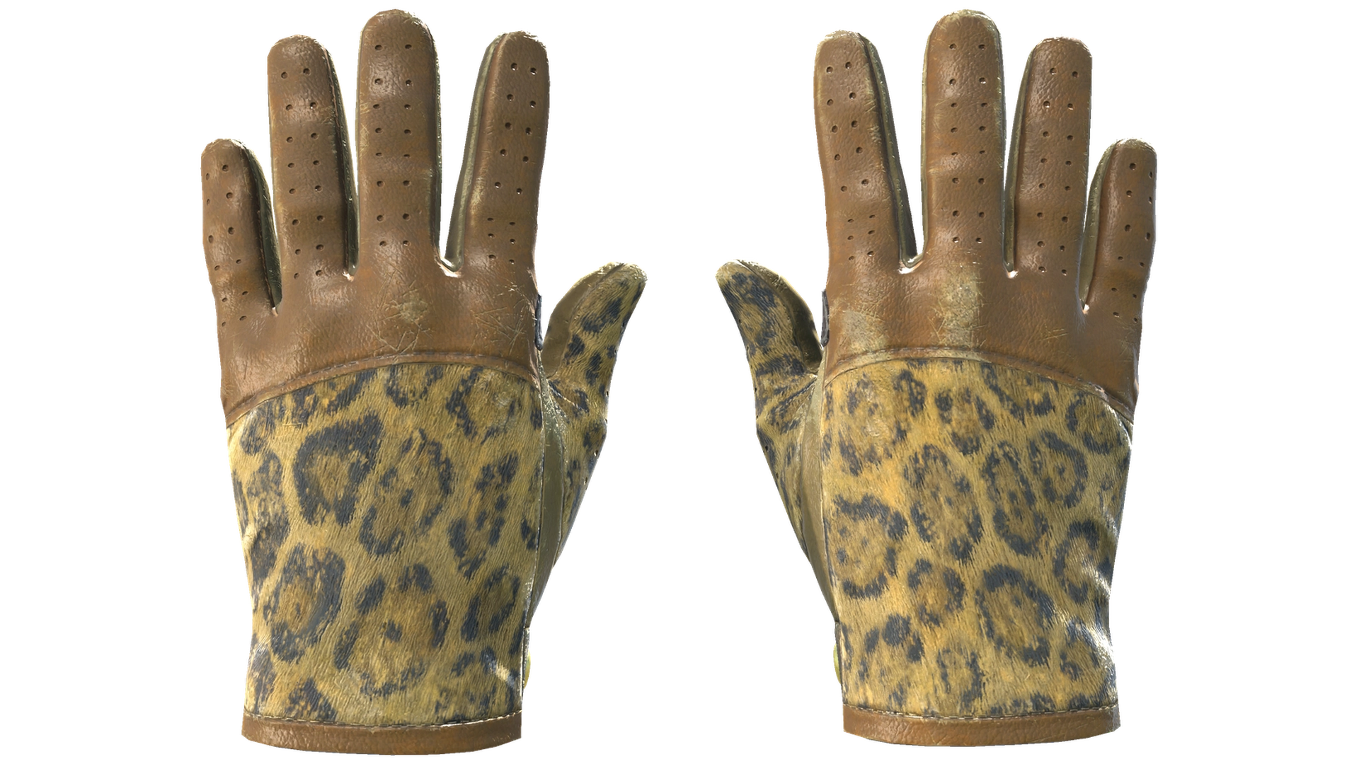 Queen Jaguar image