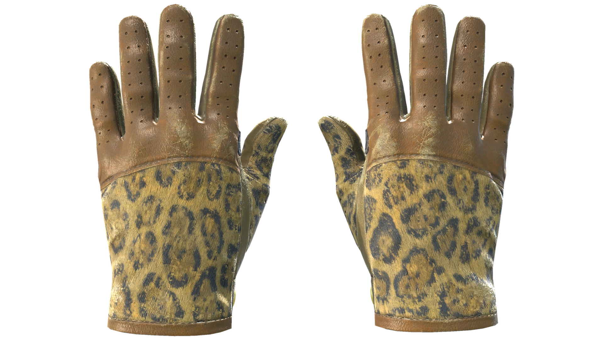 Queen Jaguar image