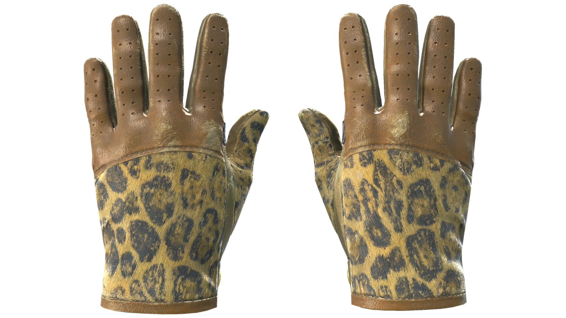 Queen Jaguar image