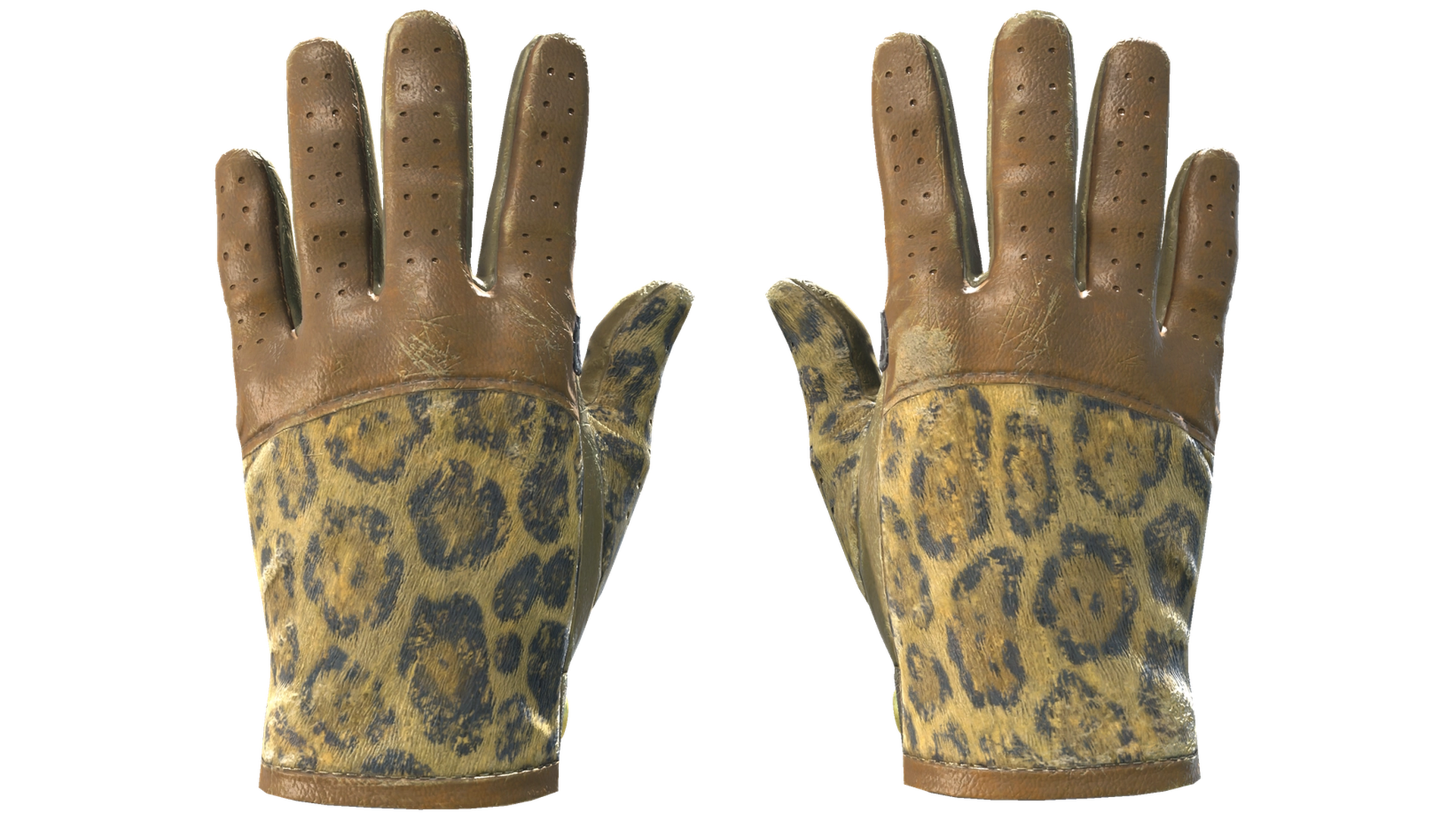 Queen Jaguar image