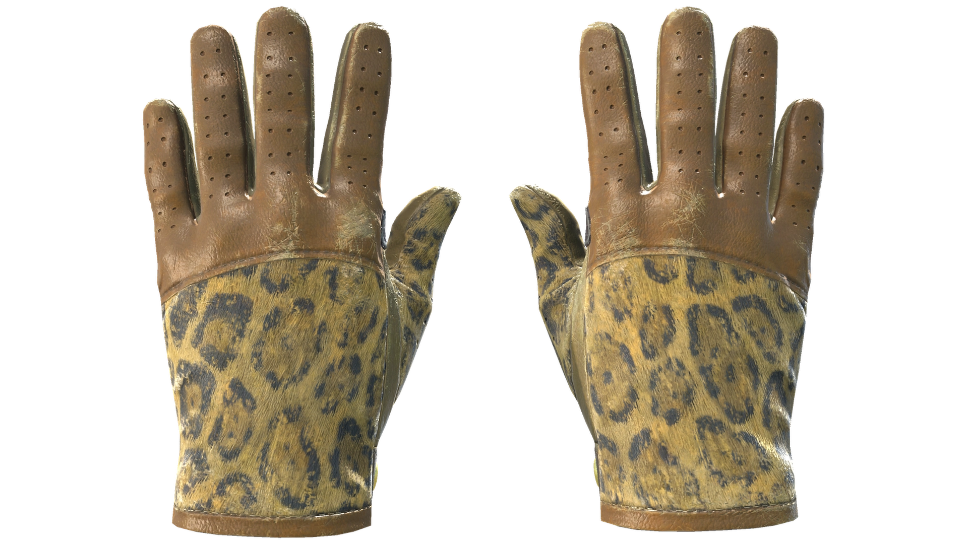 Queen Jaguar image