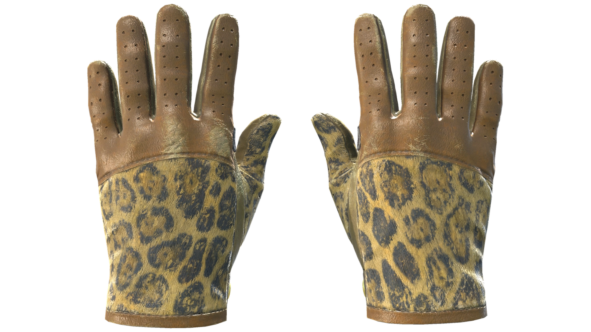Queen Jaguar image