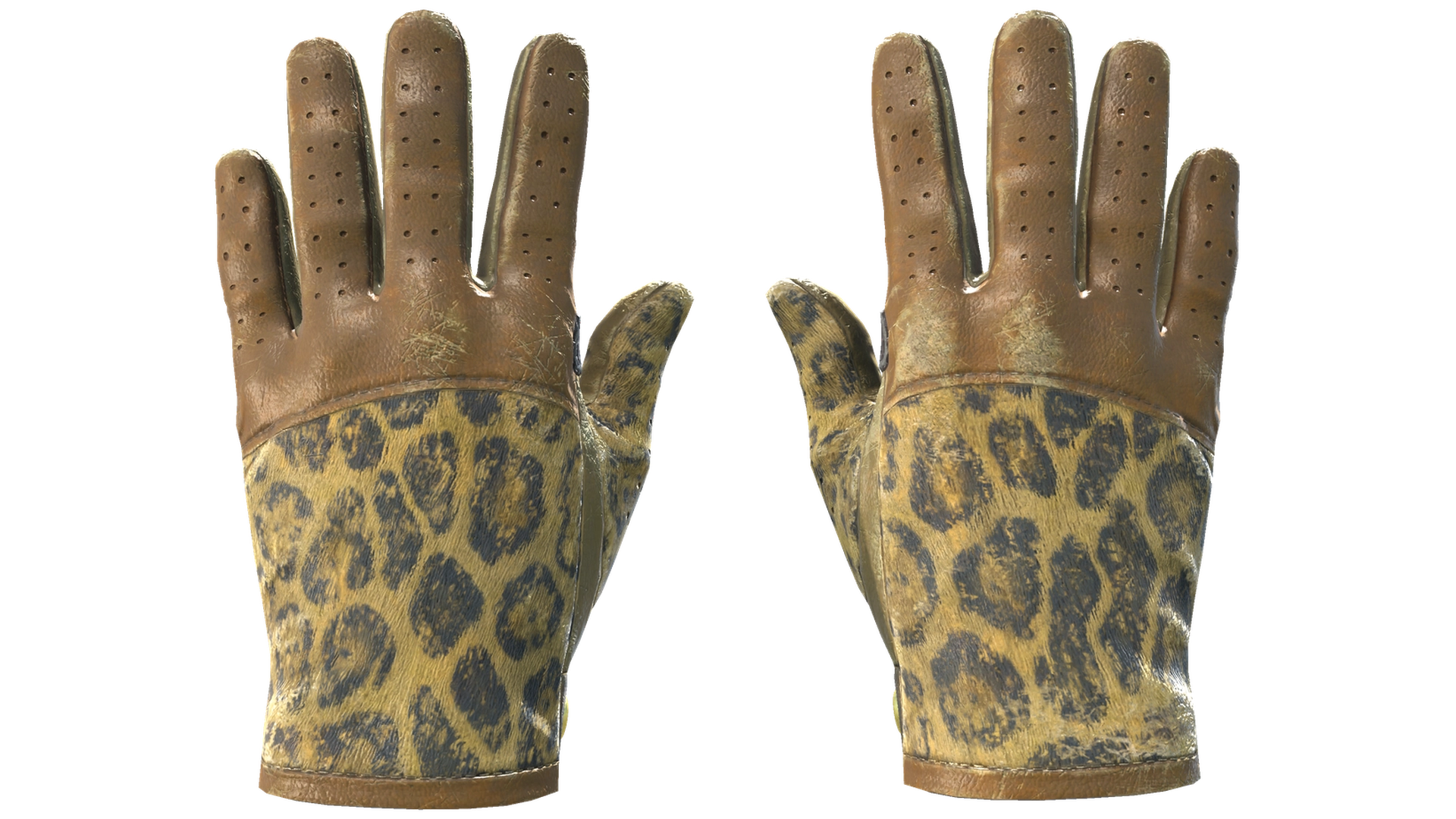Queen Jaguar image