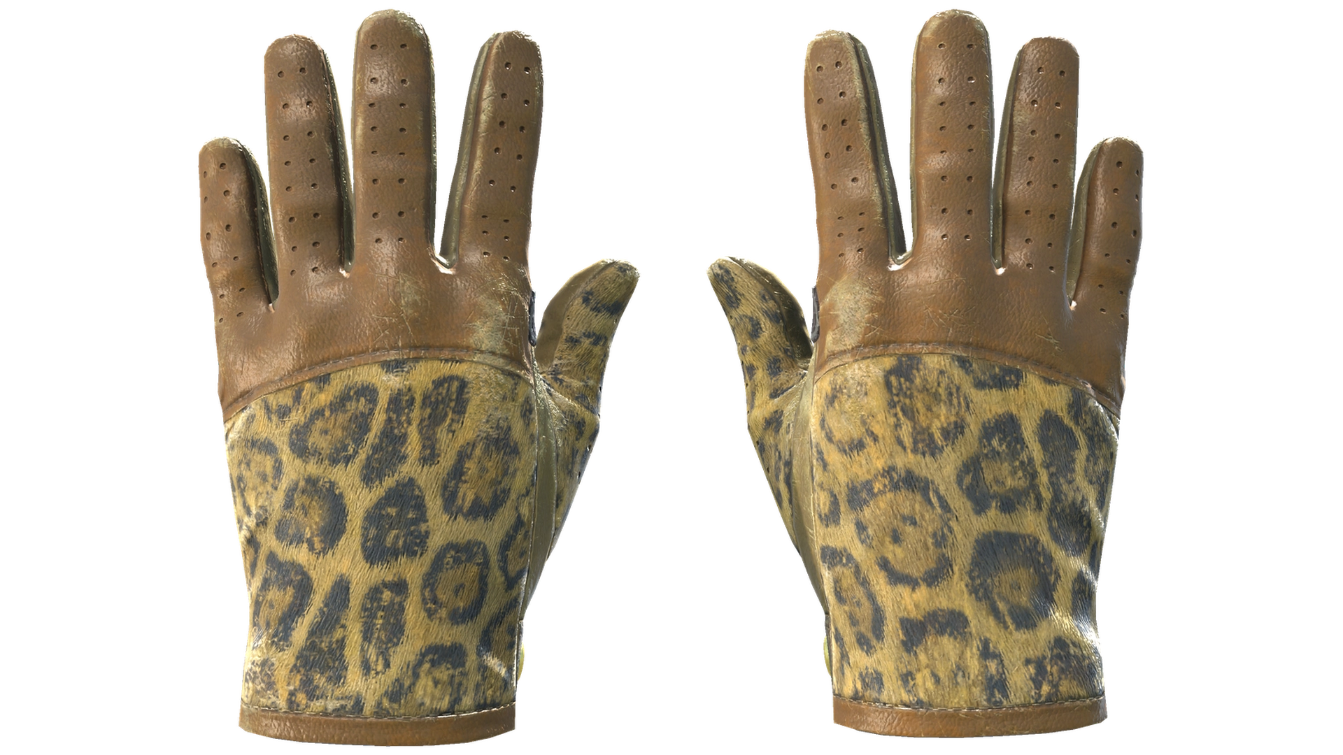 Queen Jaguar image