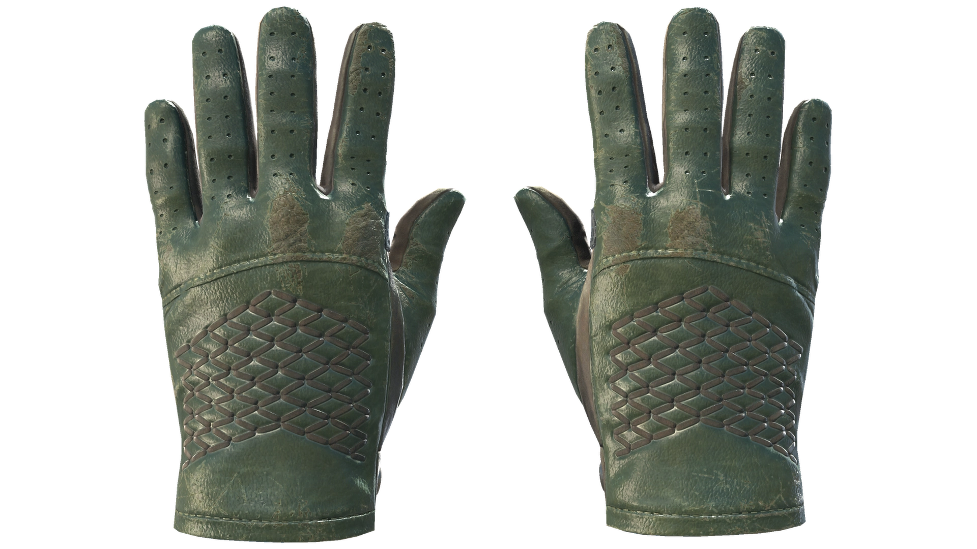 ★ Driver Gloves | Racing Green (Well-Worn)