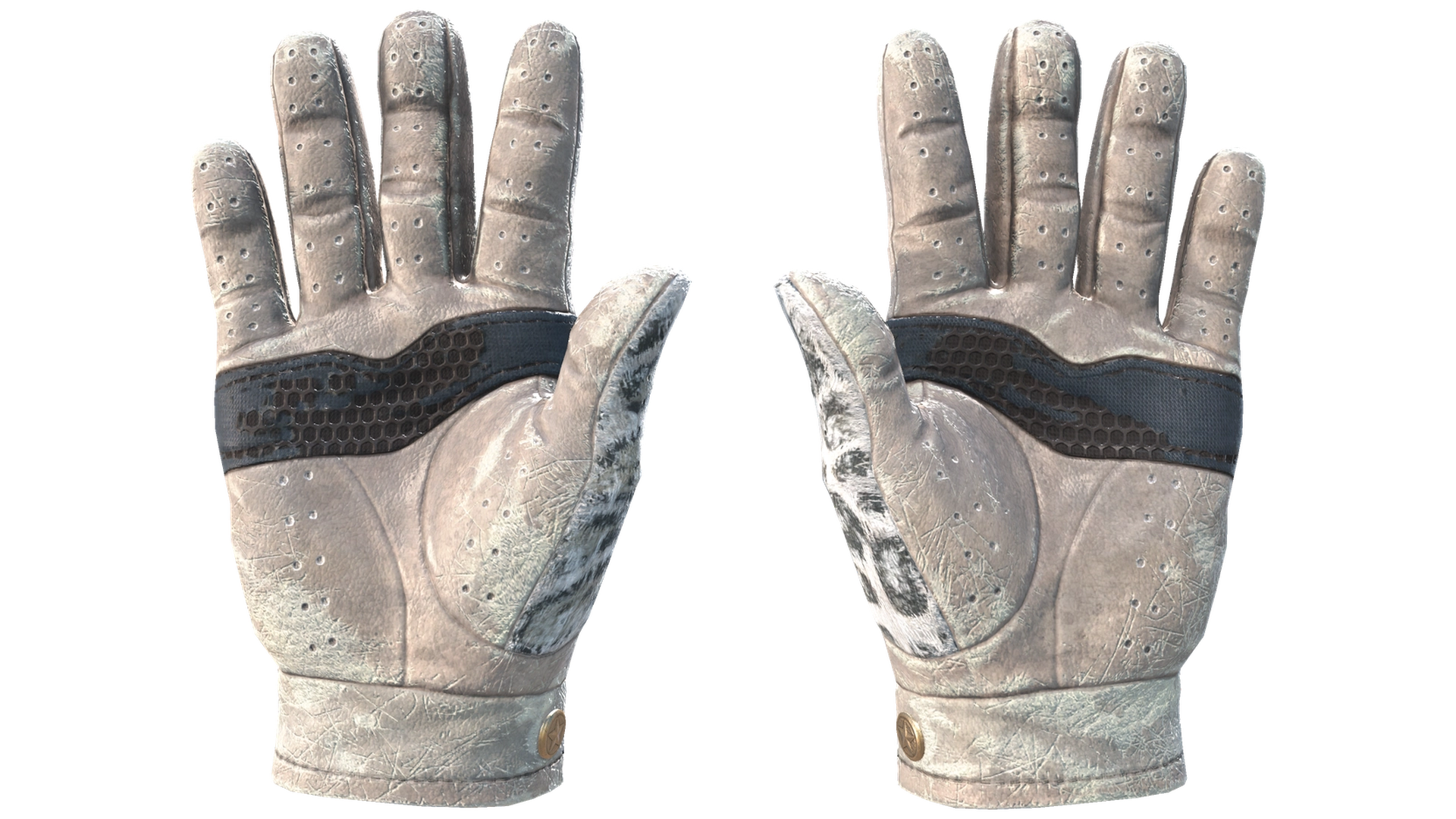 Snow Leopard image