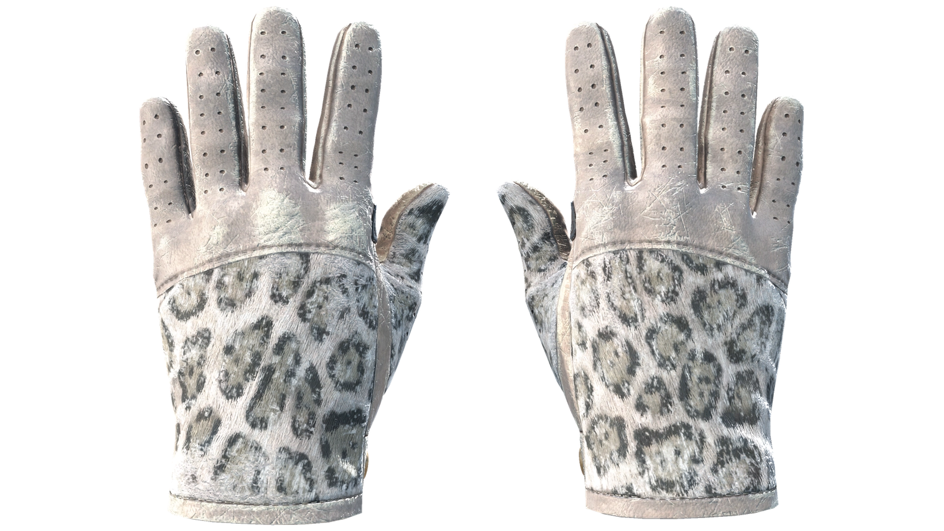 Snow Leopard image