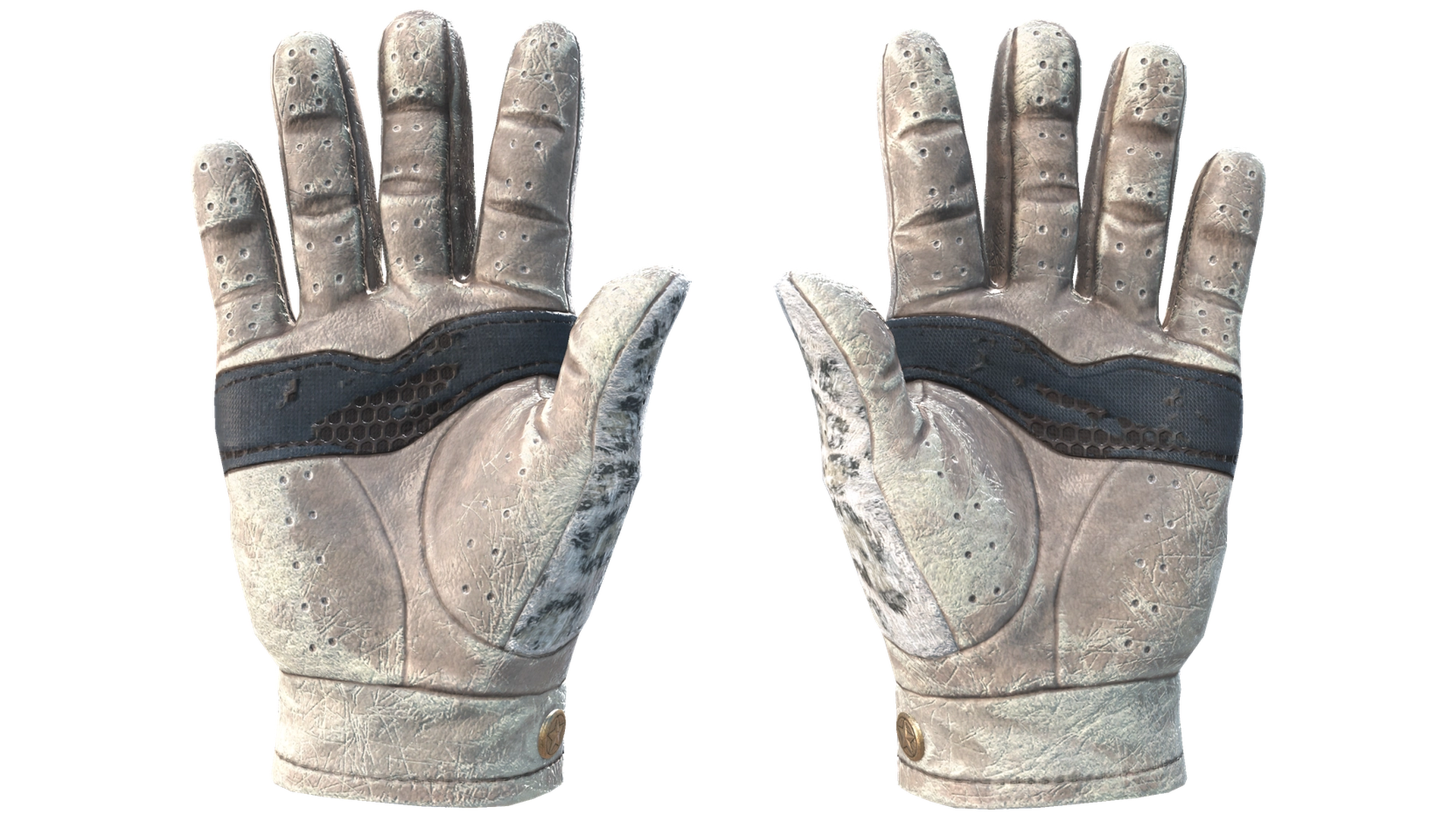 Snow Leopard image