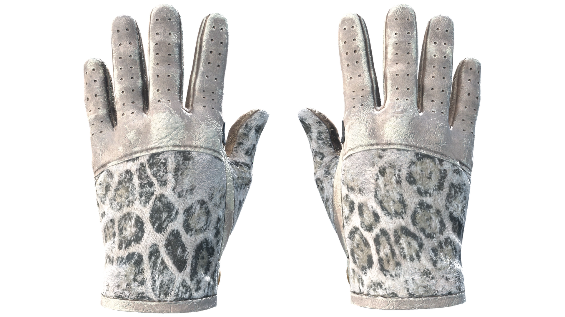 Snow Leopard image
