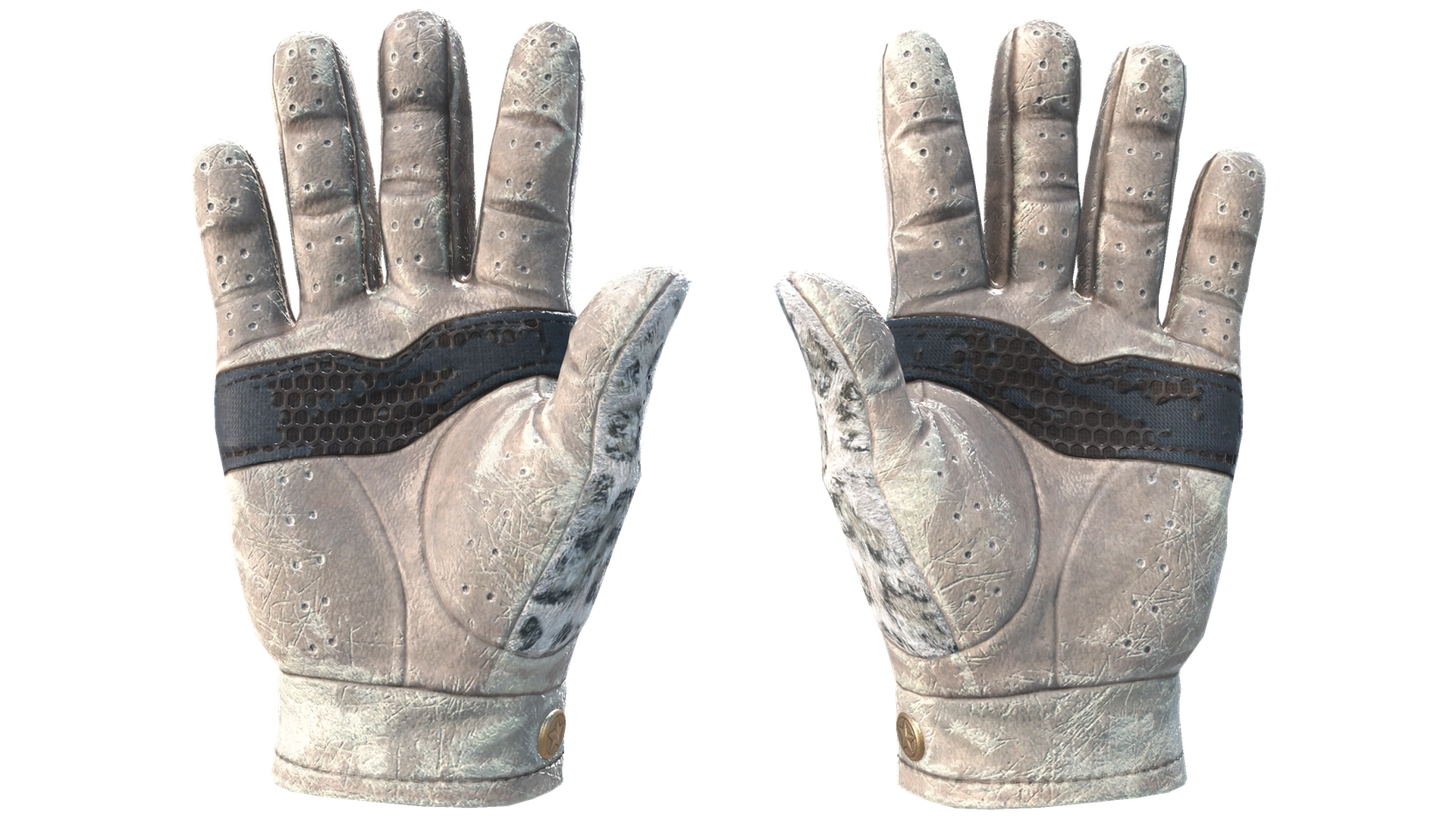 Snow Leopard image
