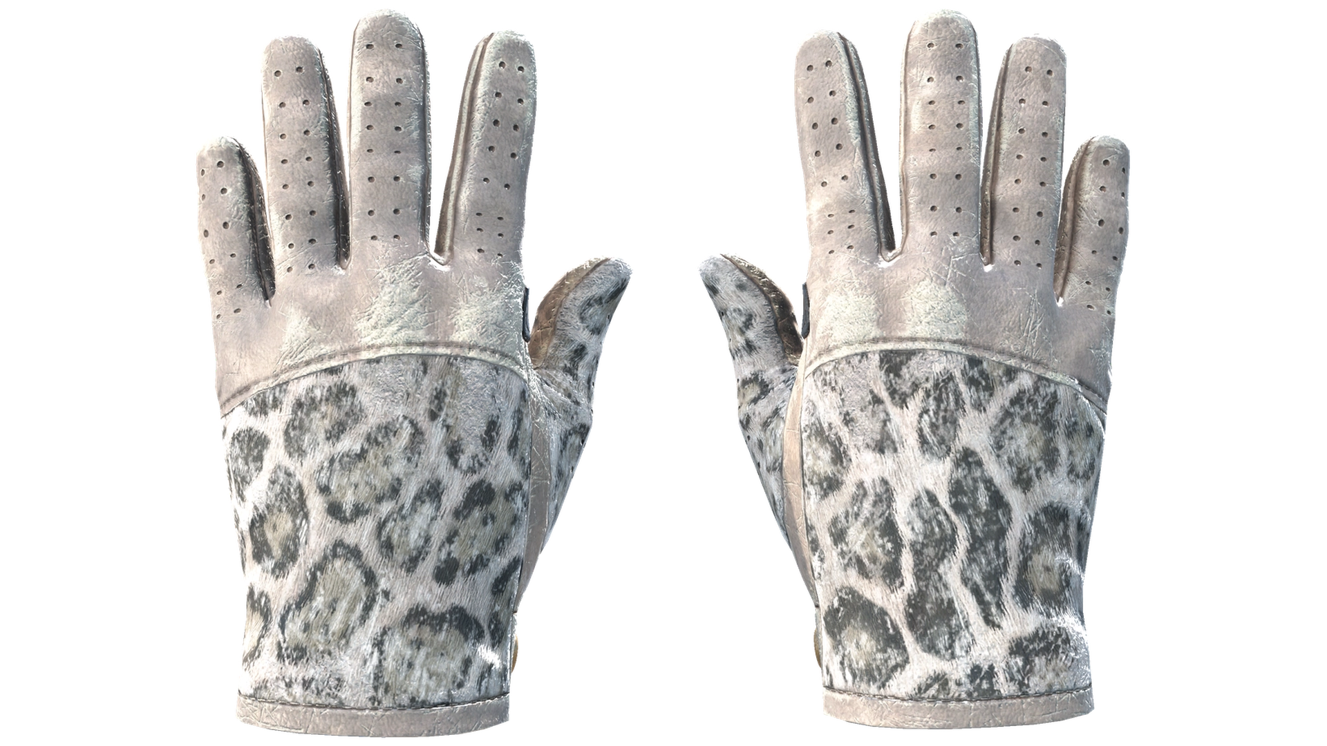 Snow Leopard image