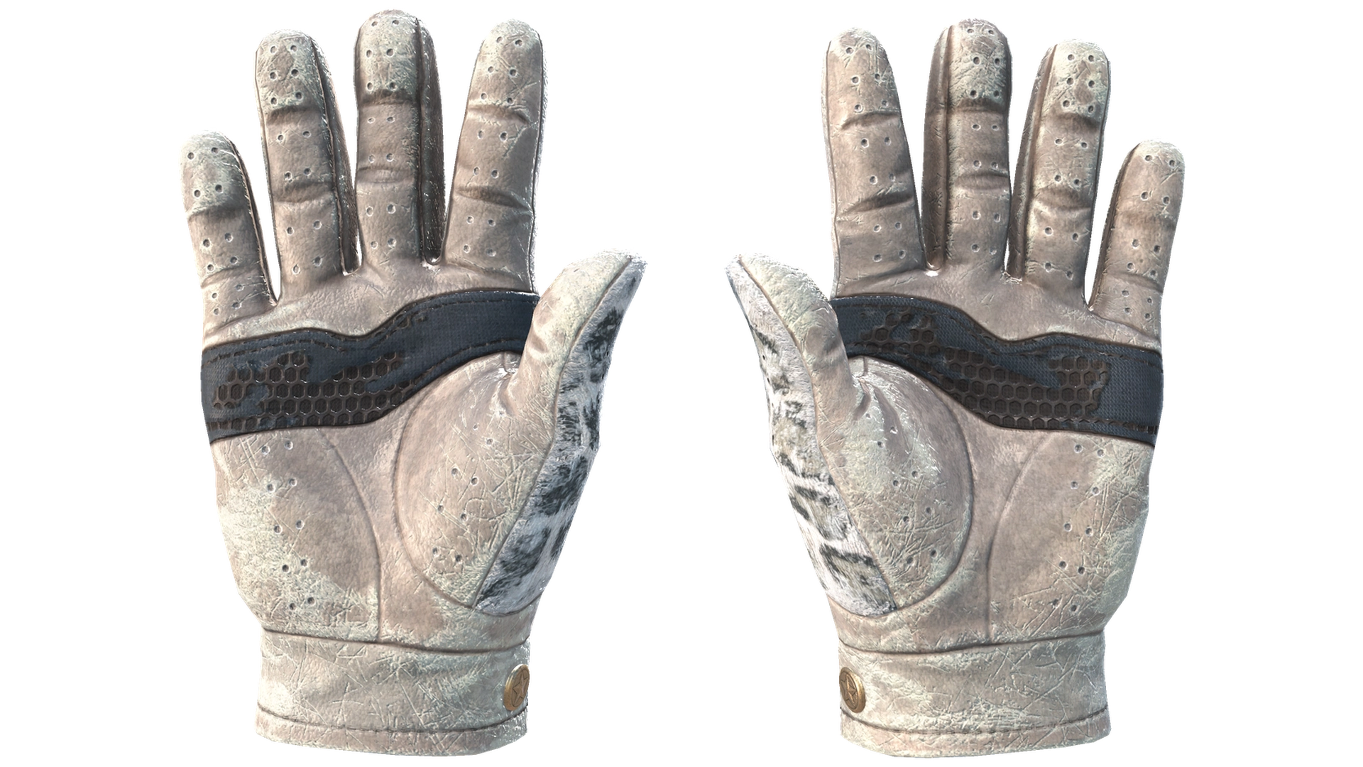 Snow Leopard image
