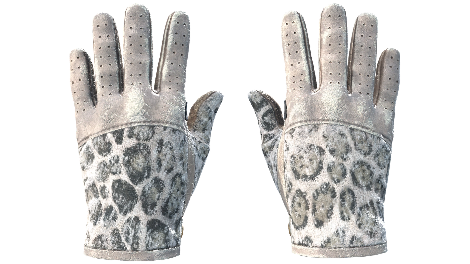 Snow Leopard image