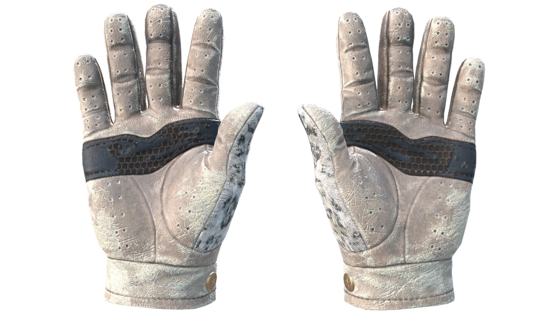 Snow Leopard image
