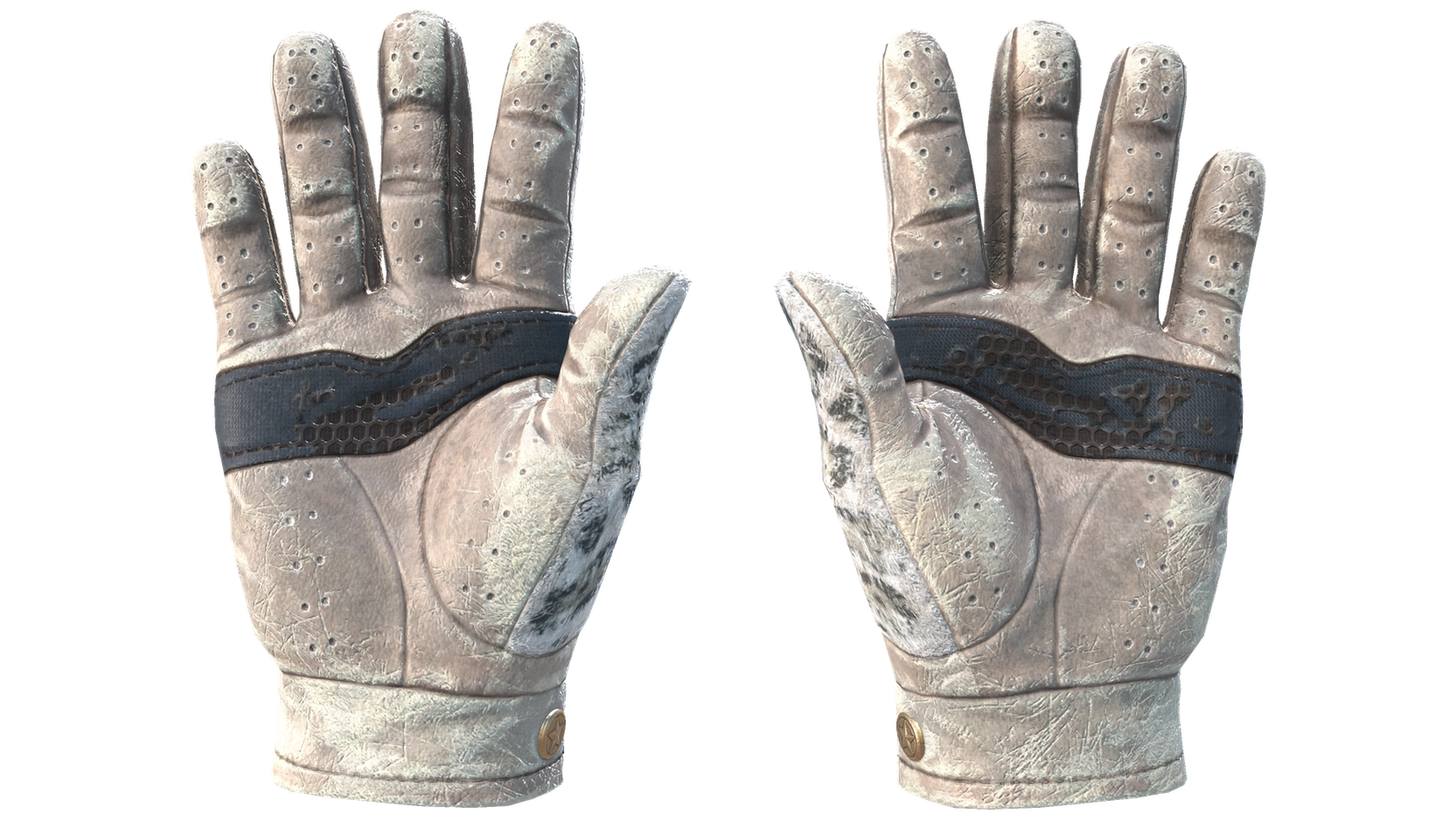 Snow Leopard image