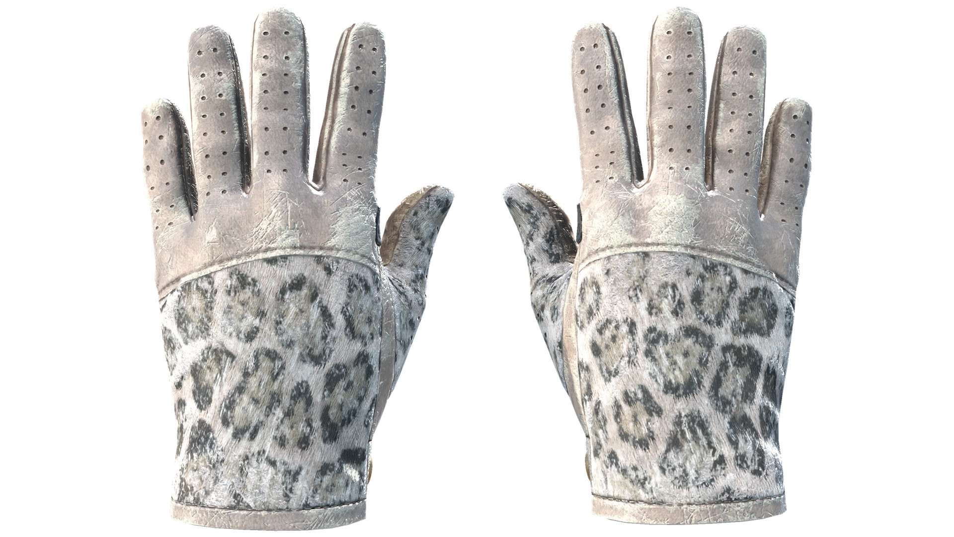 Snow Leopard image