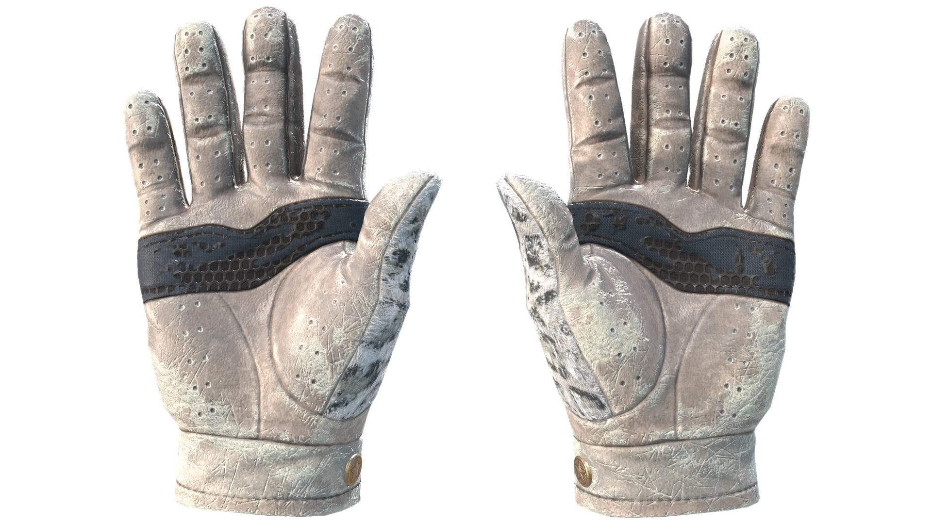 Snow Leopard image