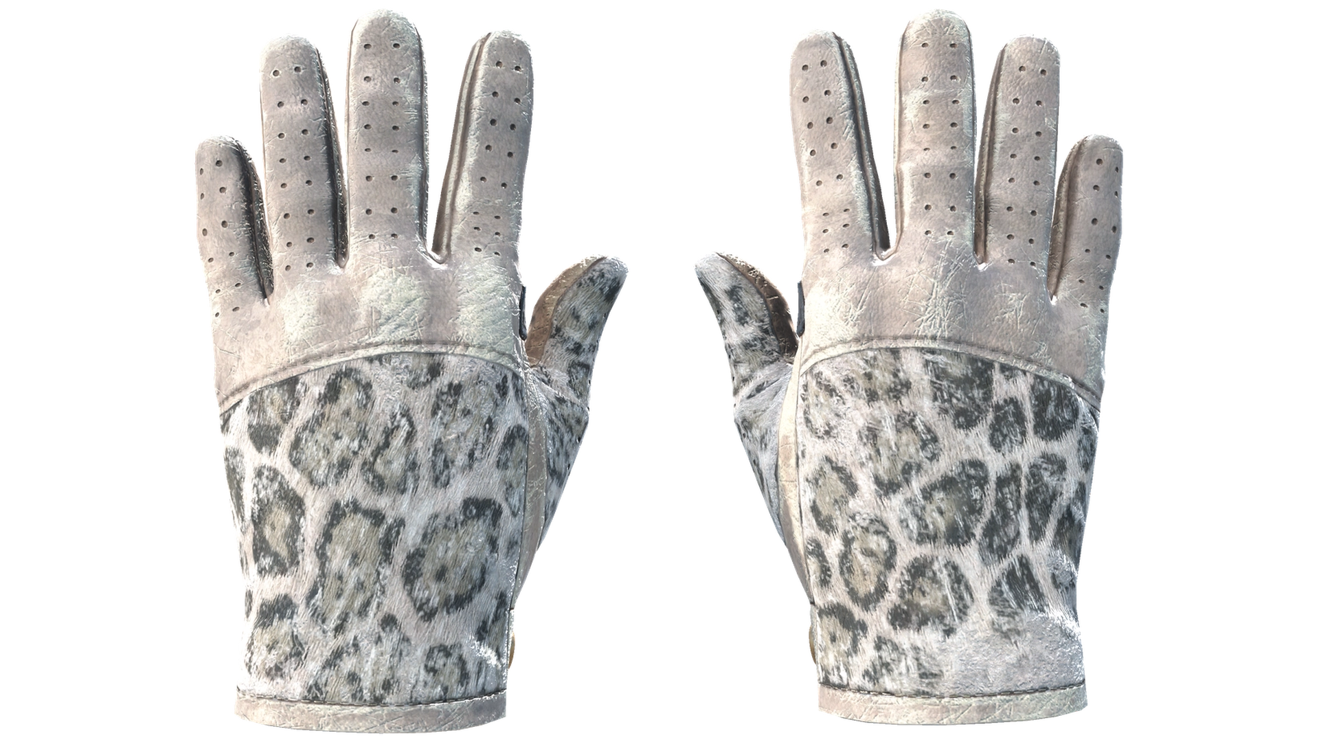 Snow Leopard image