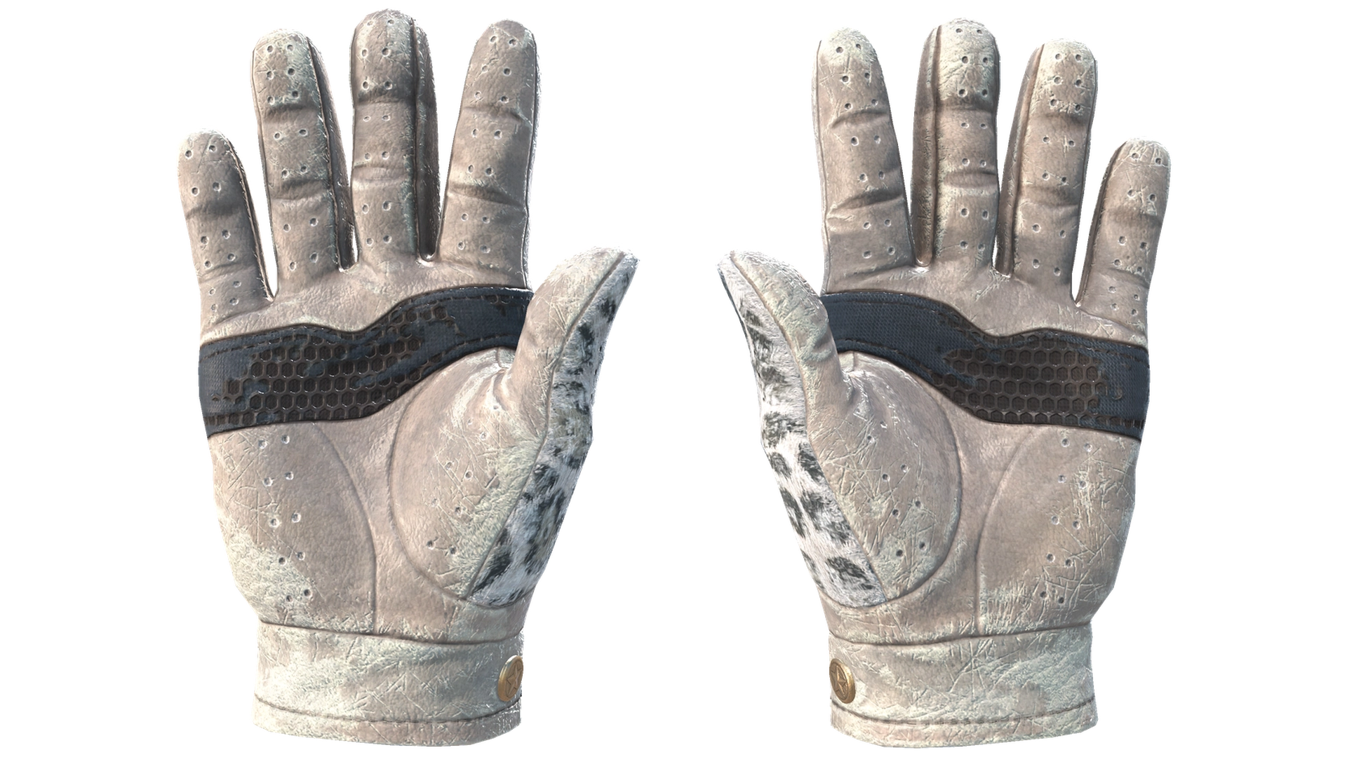 Snow Leopard image