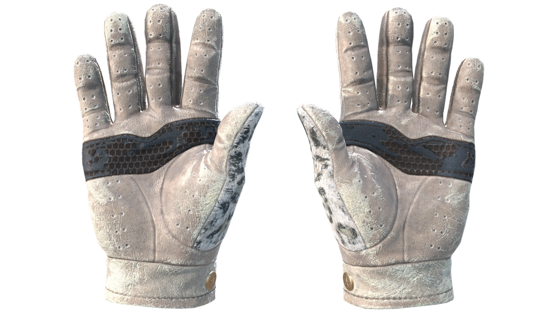 Snow Leopard image
