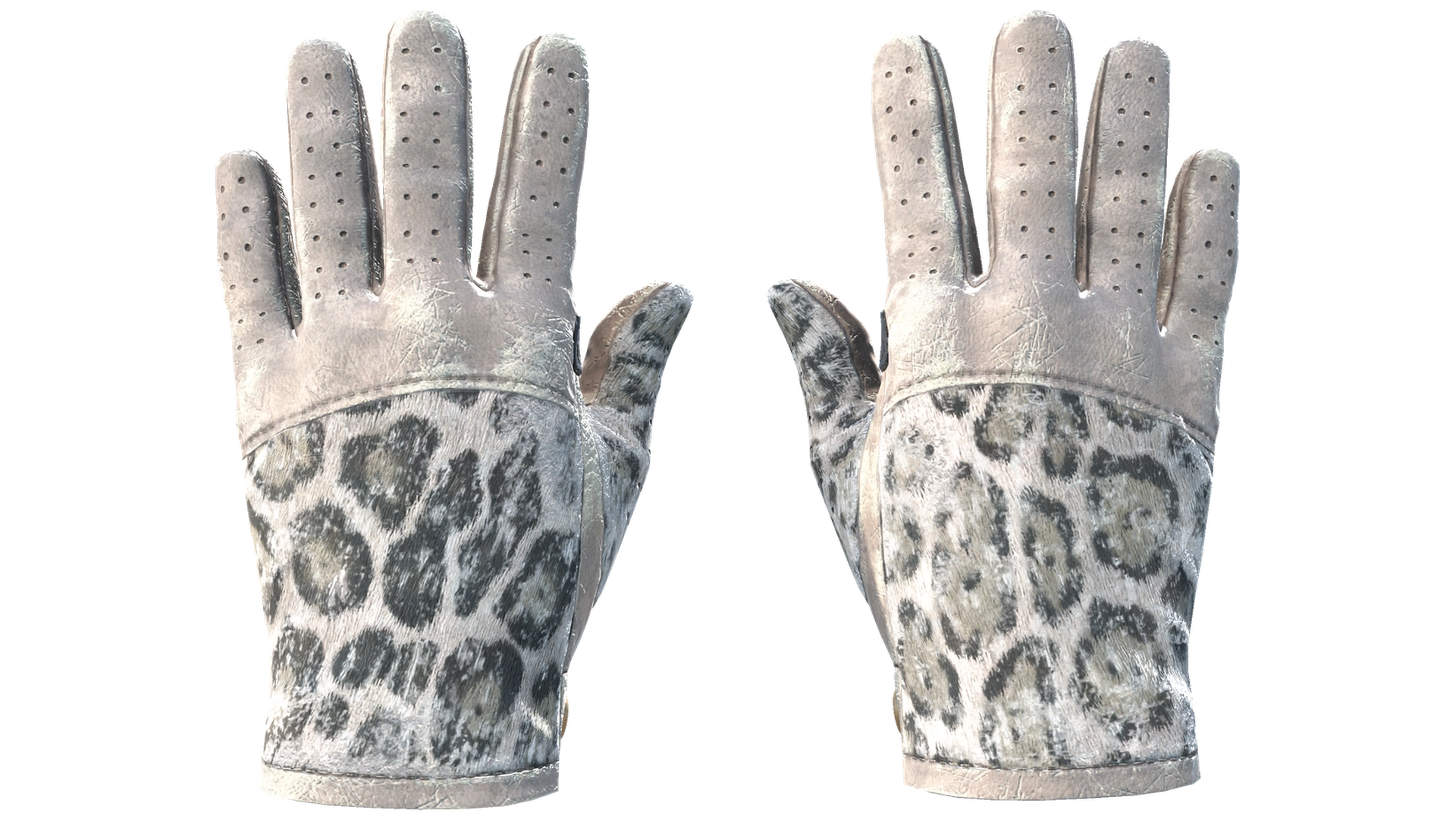 Snow Leopard image