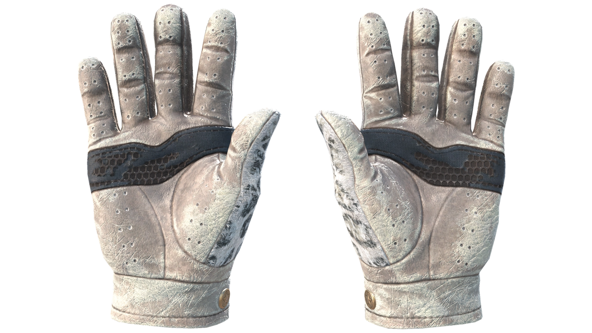 Snow Leopard image