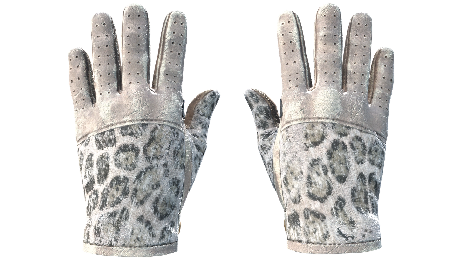 Snow Leopard image