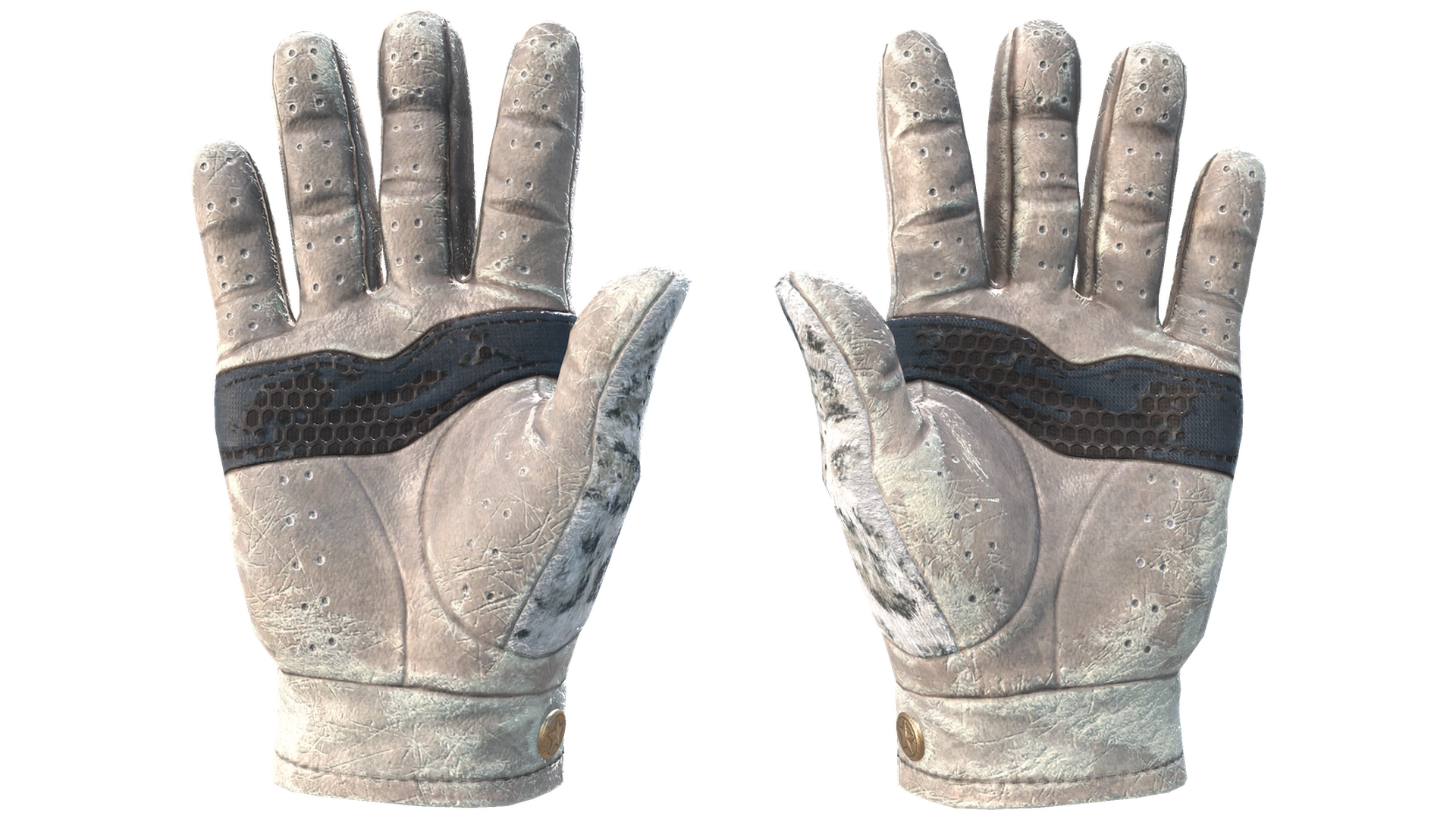 Snow Leopard image