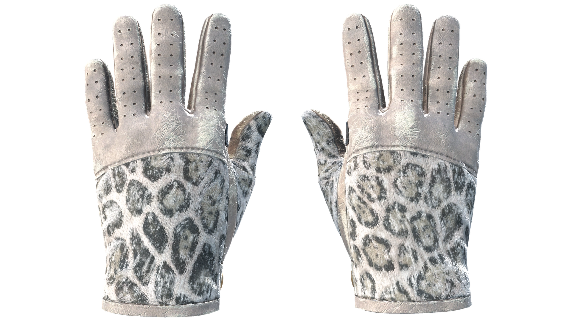 Snow Leopard image