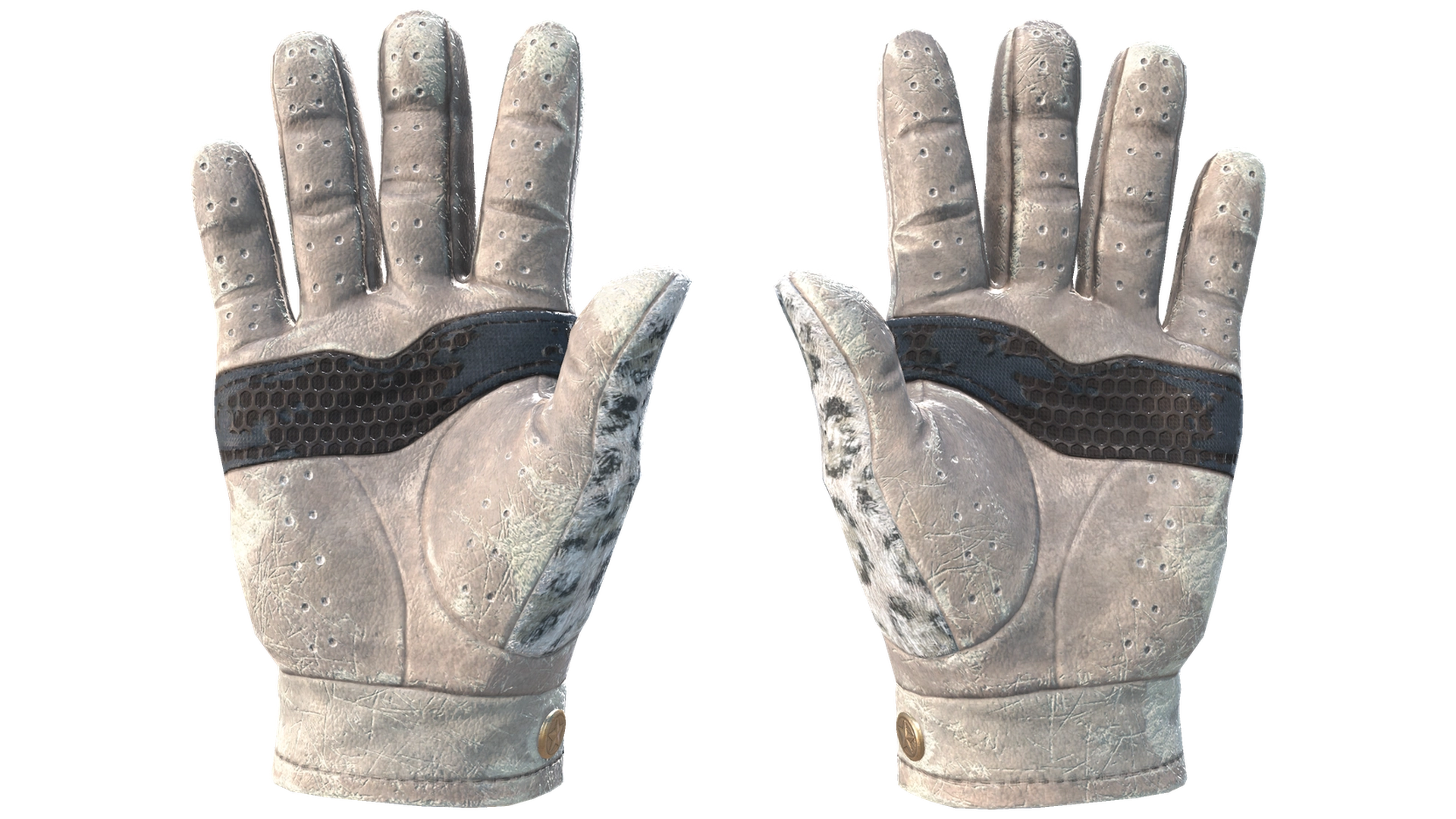 Snow Leopard image