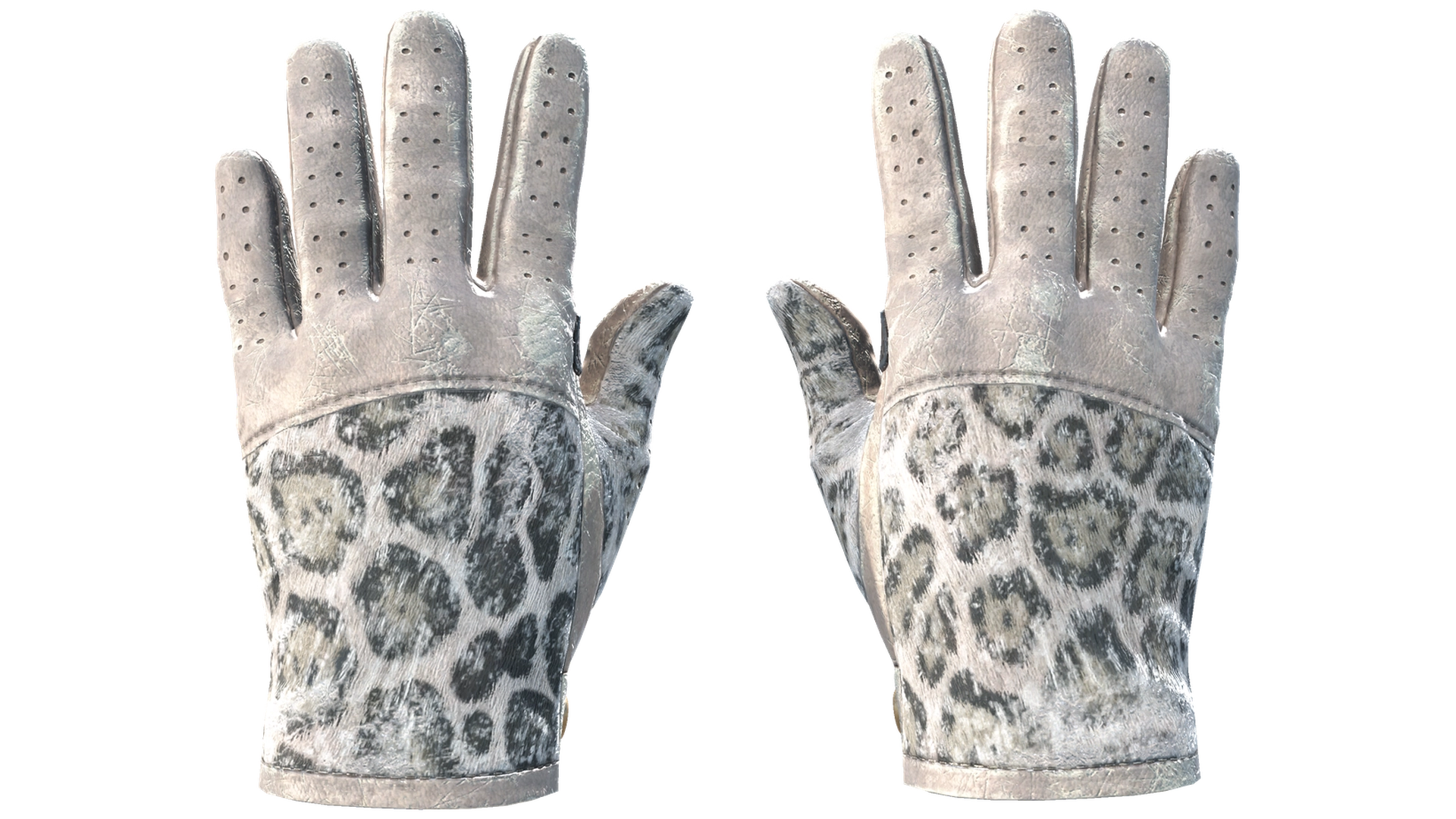 Snow Leopard image
