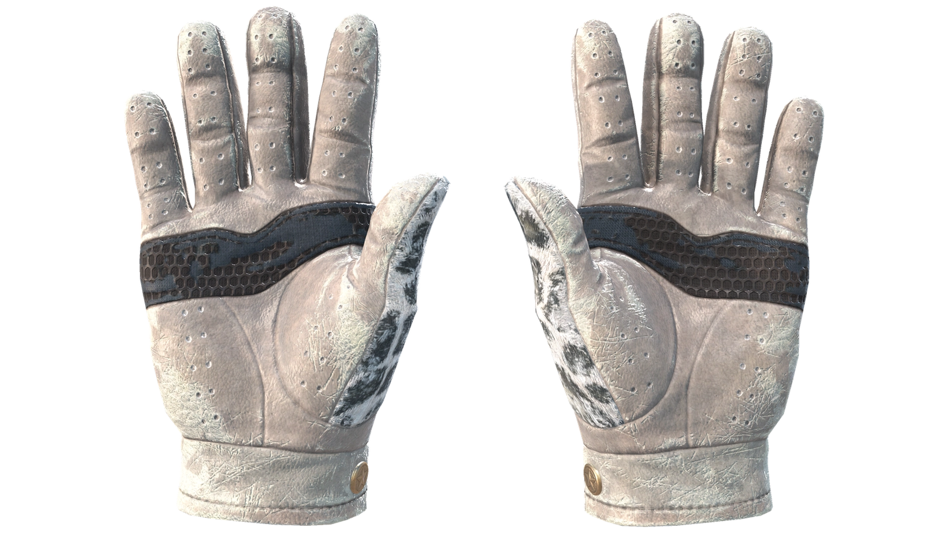 Snow Leopard image