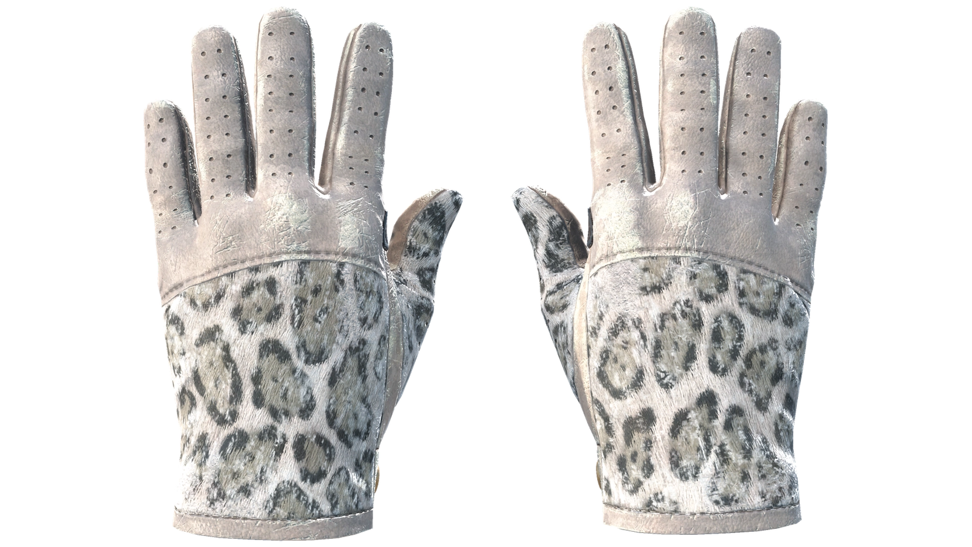 Snow Leopard image