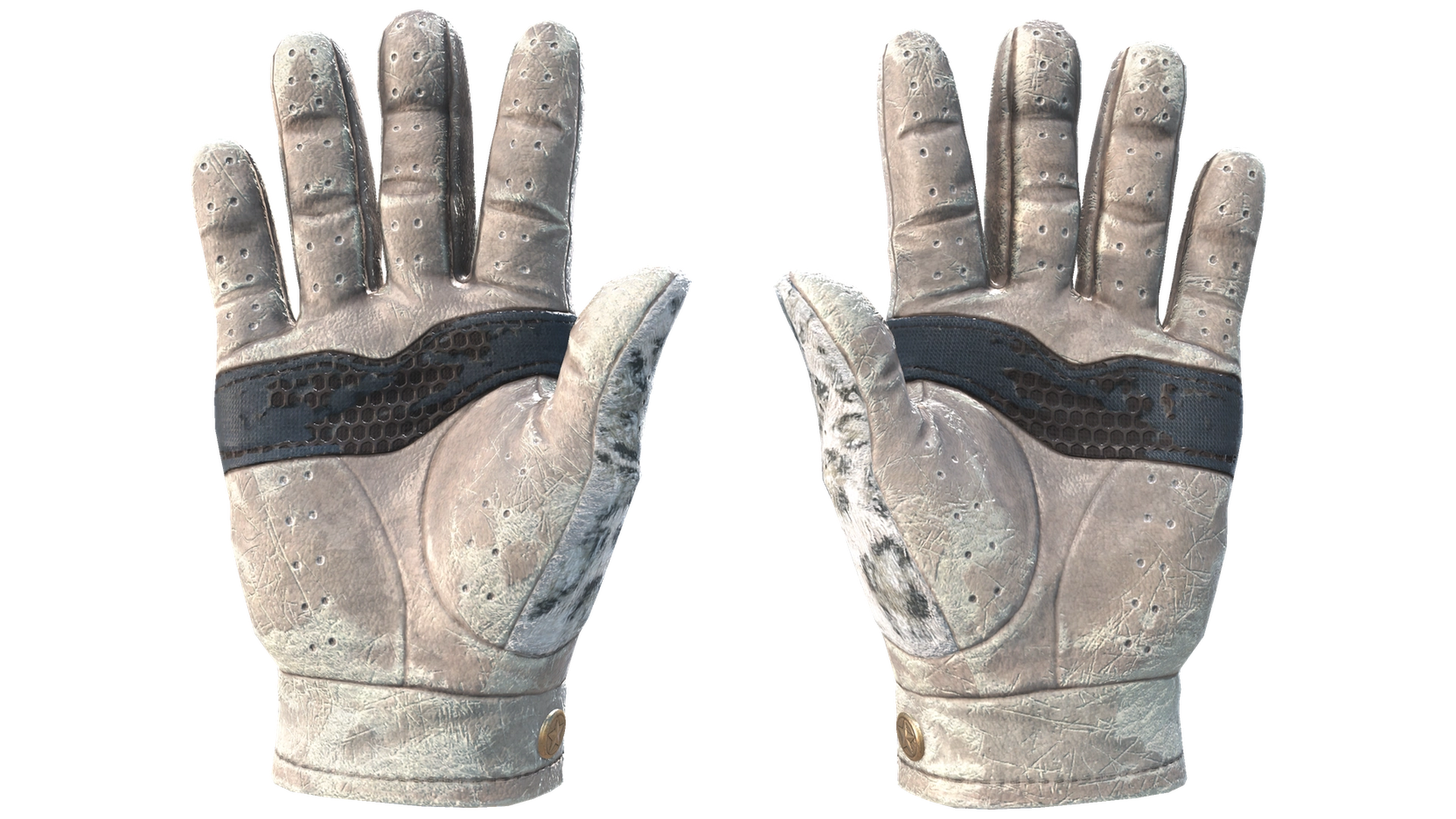 Snow Leopard image
