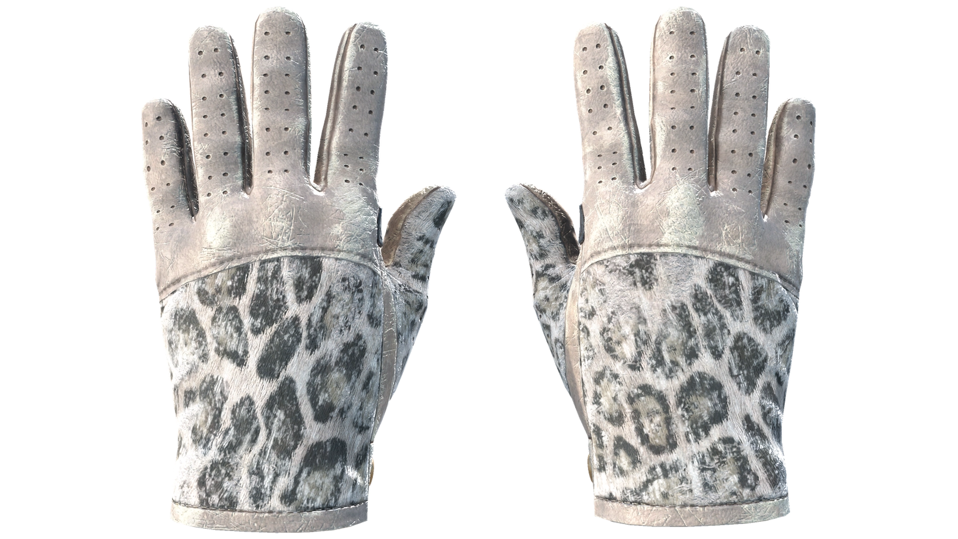 Snow Leopard image