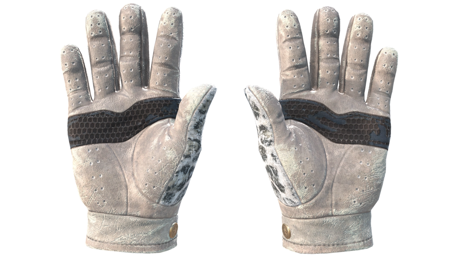 Snow Leopard image